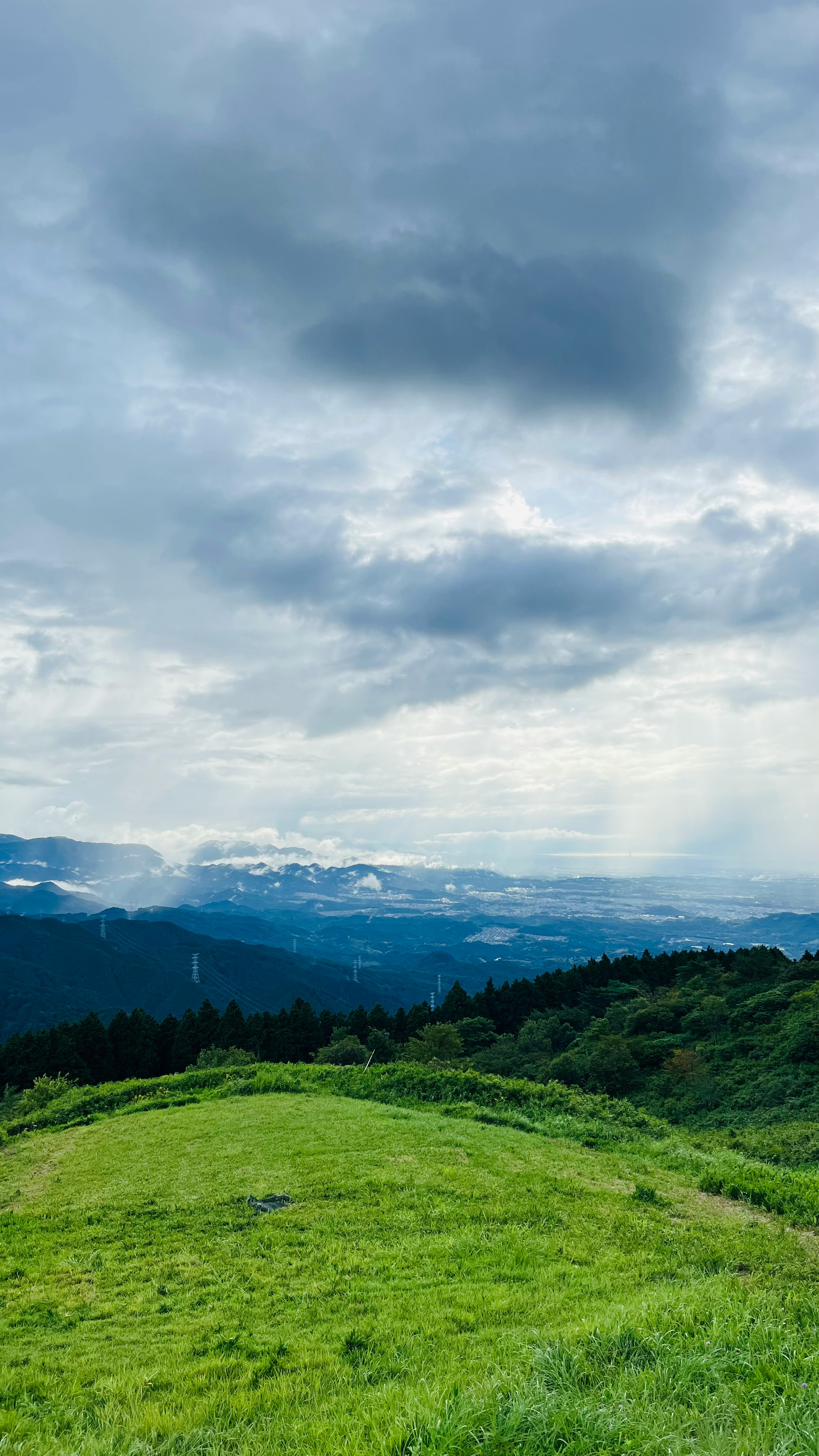 丘の上の緑の草地と遠くの山並みを見渡す風景