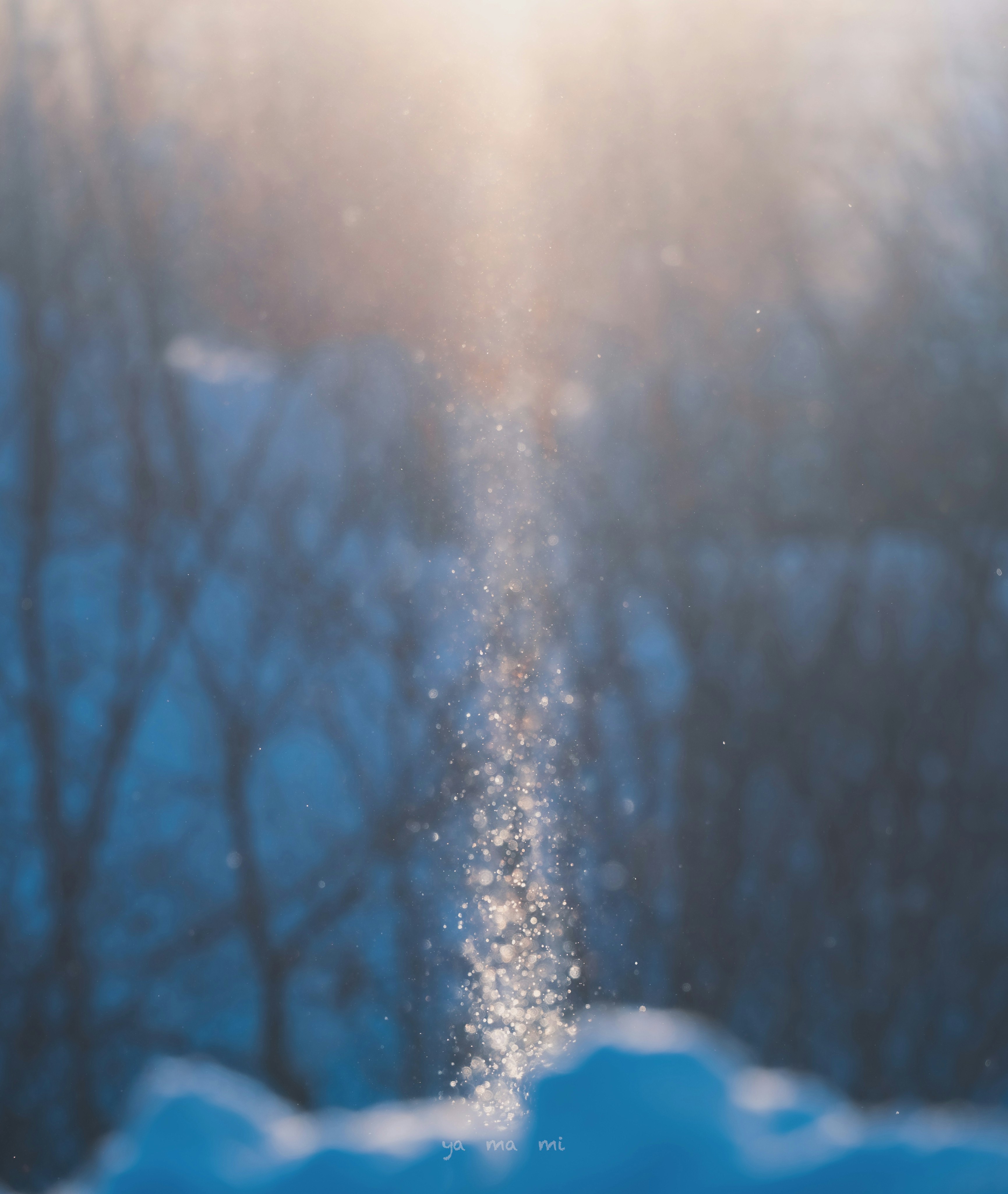 霧の森の中で舞う雪の粒