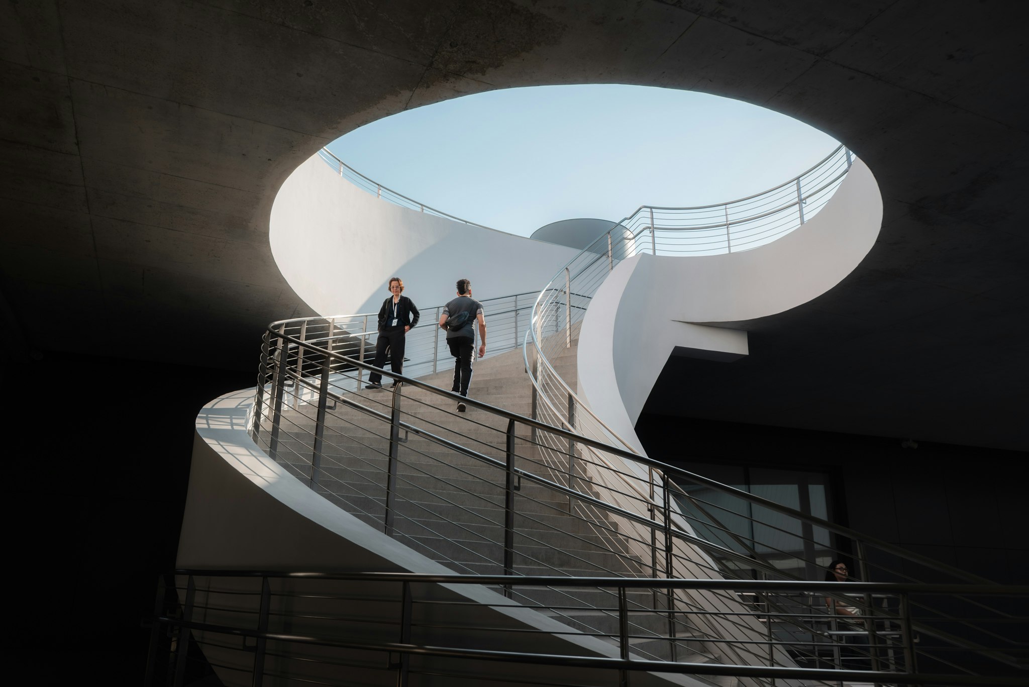 円形の吹き抜けと曲線の建築空間を見上げる