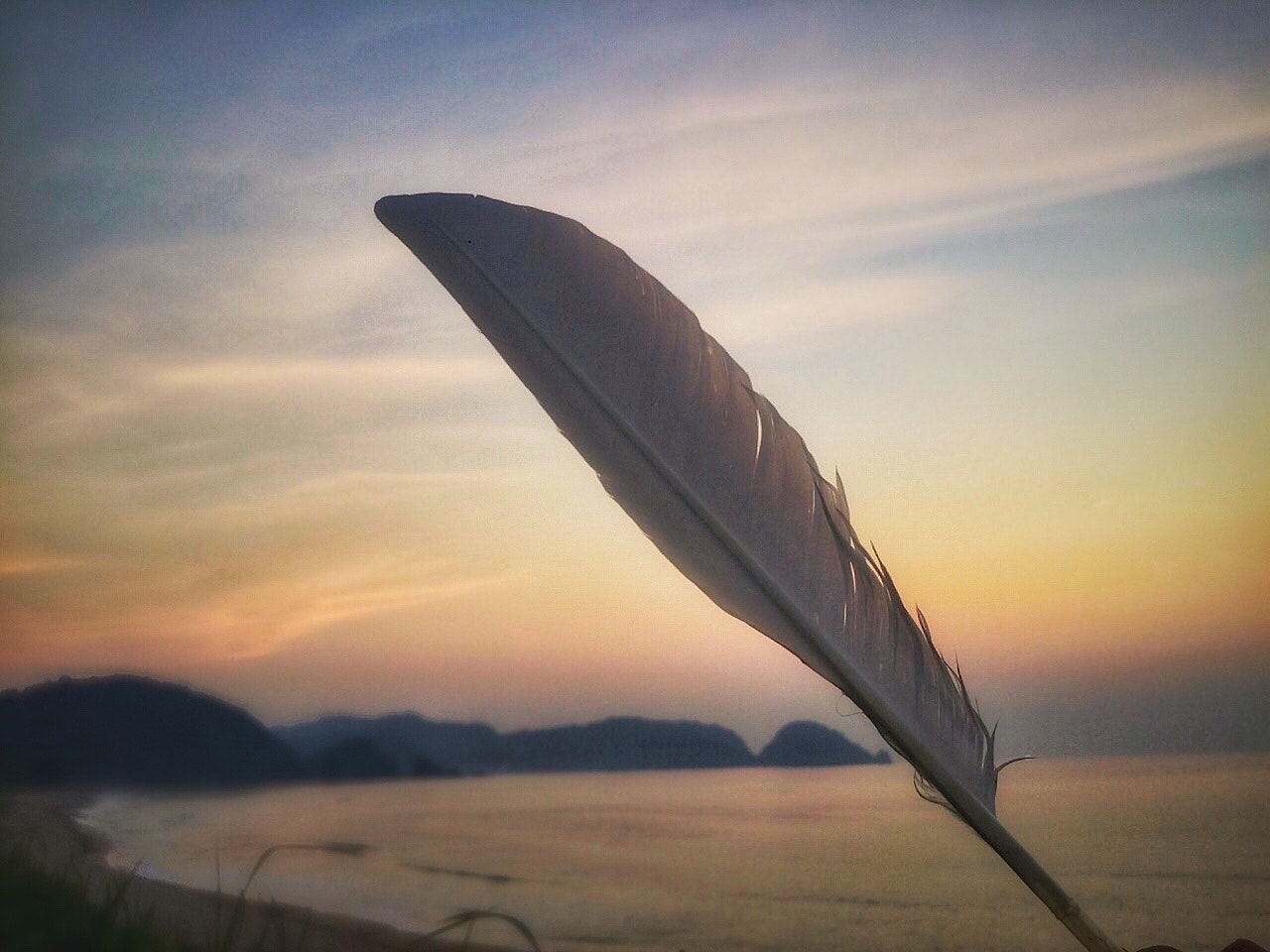 夕暮れの海辺に落ちていた鷺の羽根と日本海
