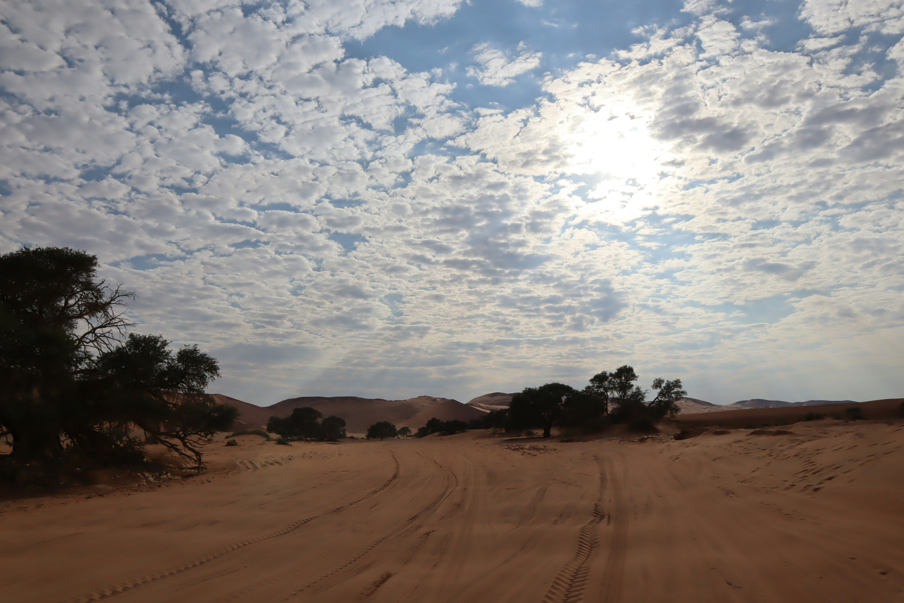 desert dunes with a track leading into the distance