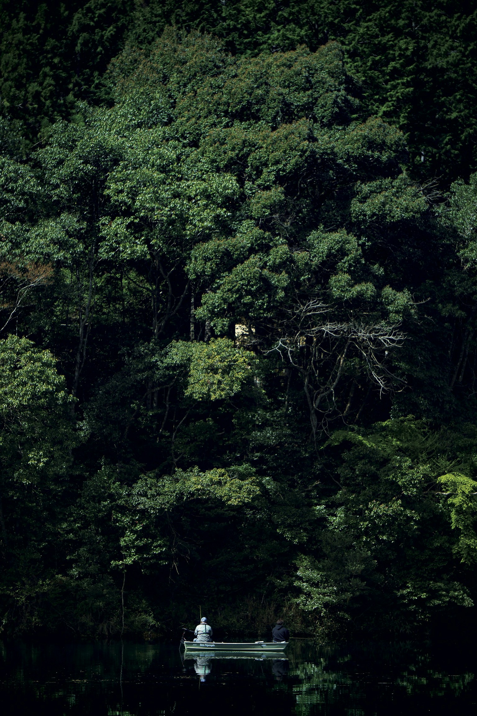 photo-cx29cmYioOvtGVw5afvf-image
