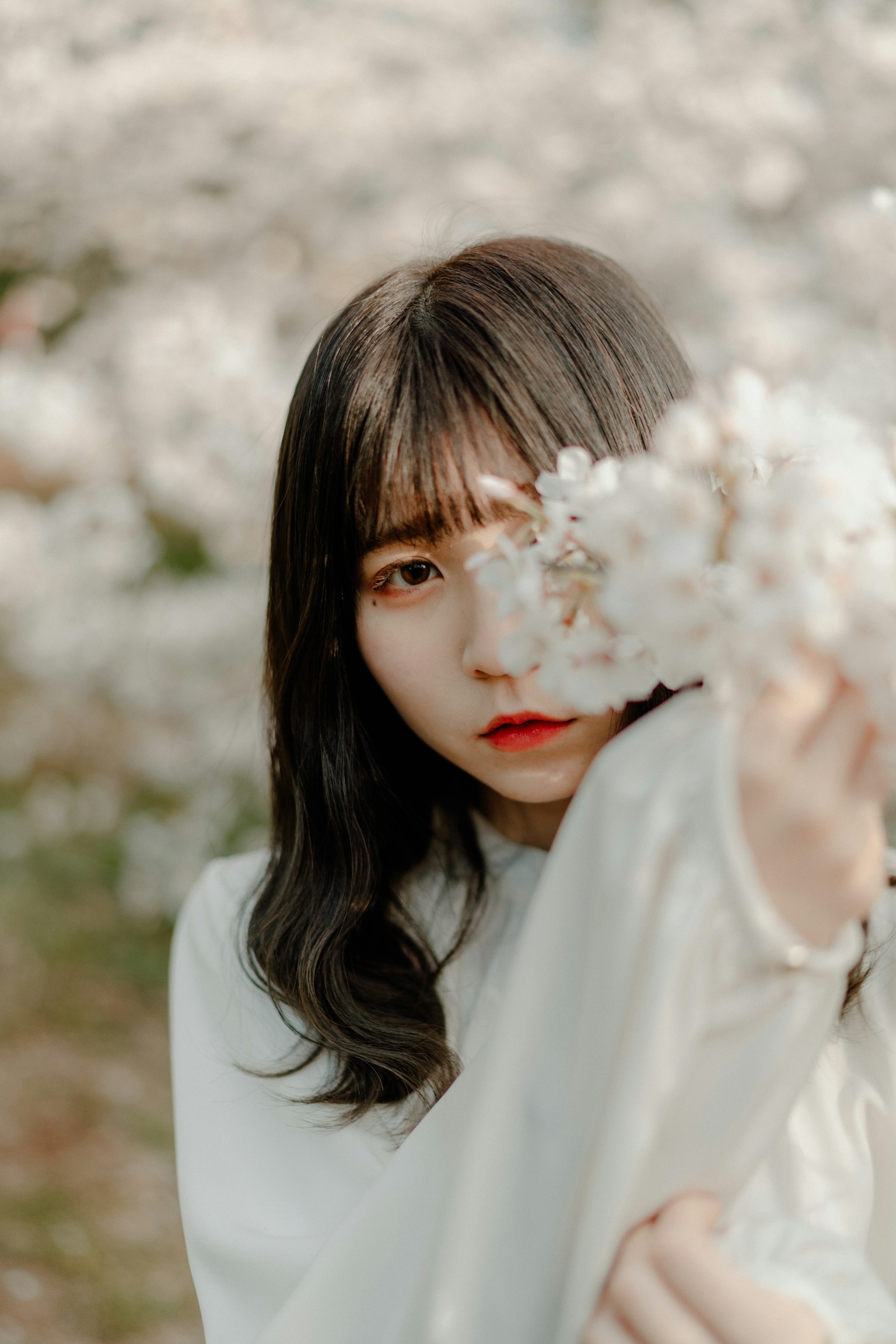 手持白花的女性肖像 背景模糊的櫻花樹