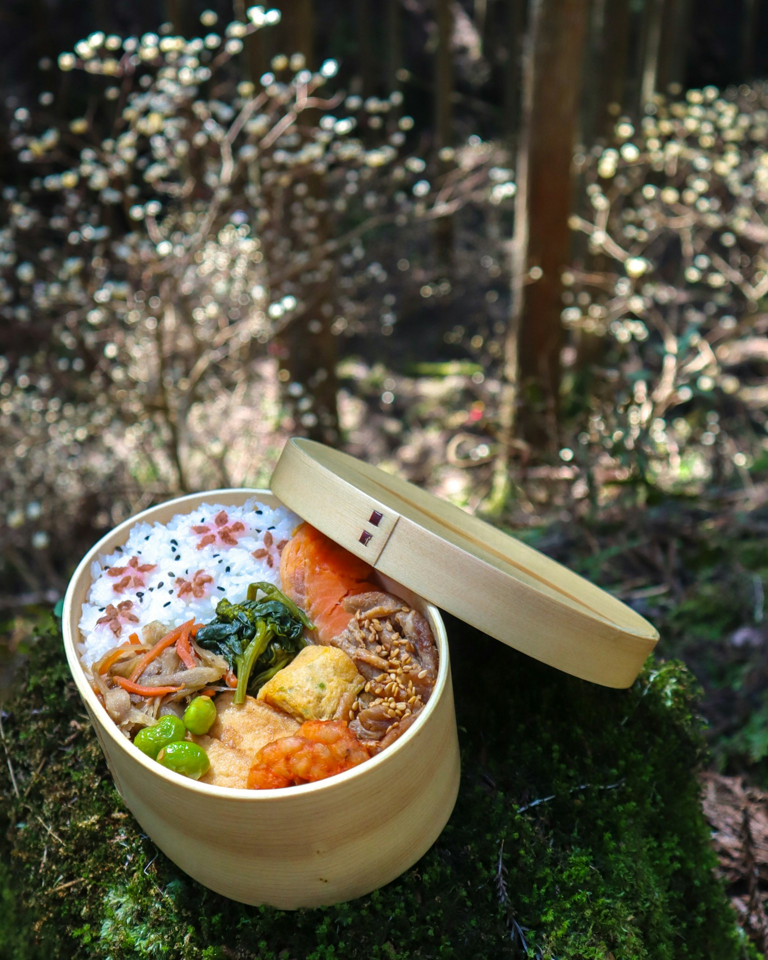 森の中にある美しい弁当箱と色とりどりの料理