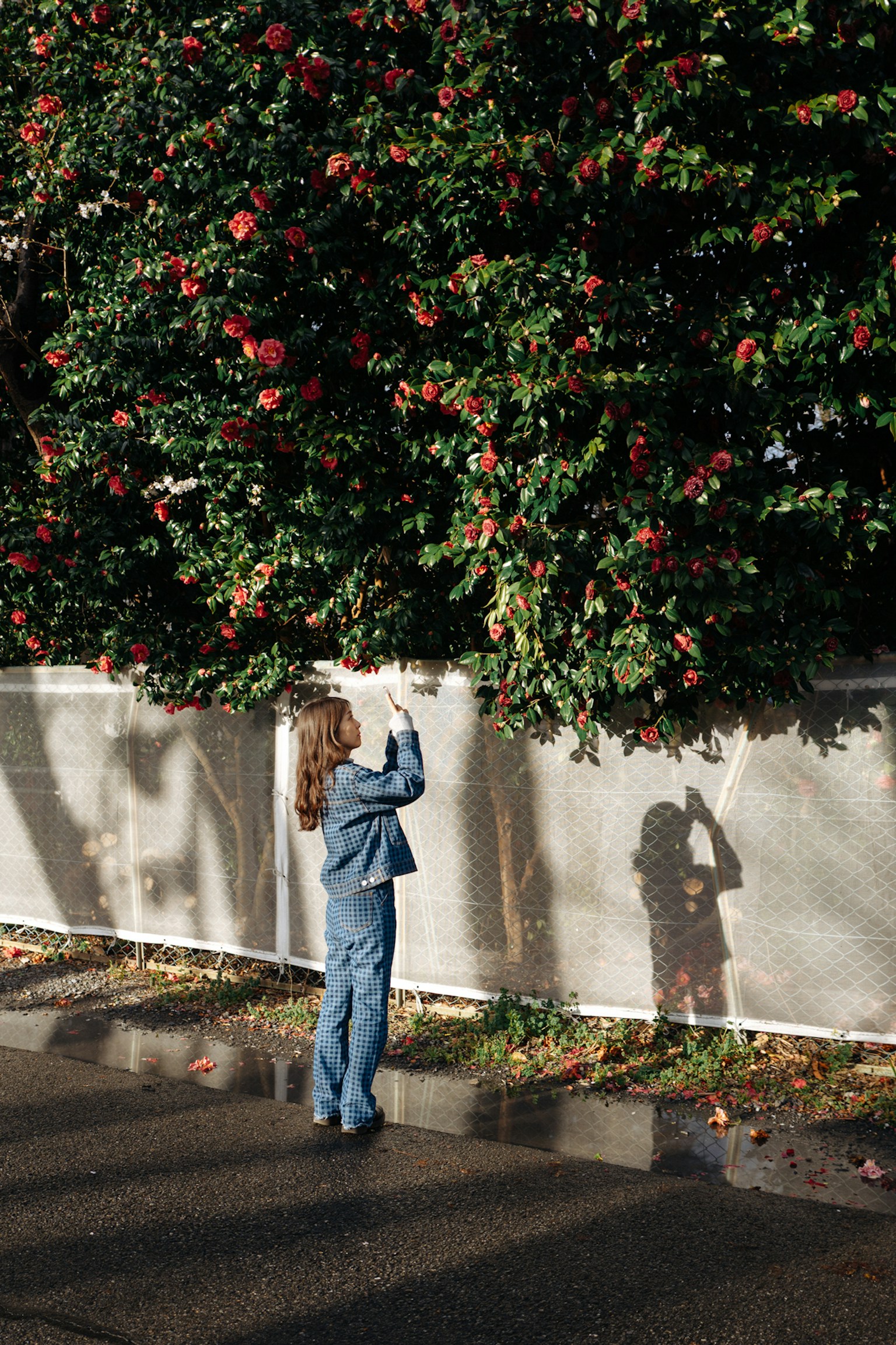 photo-cxPBlEv2F7SbnqSQTlcf-image