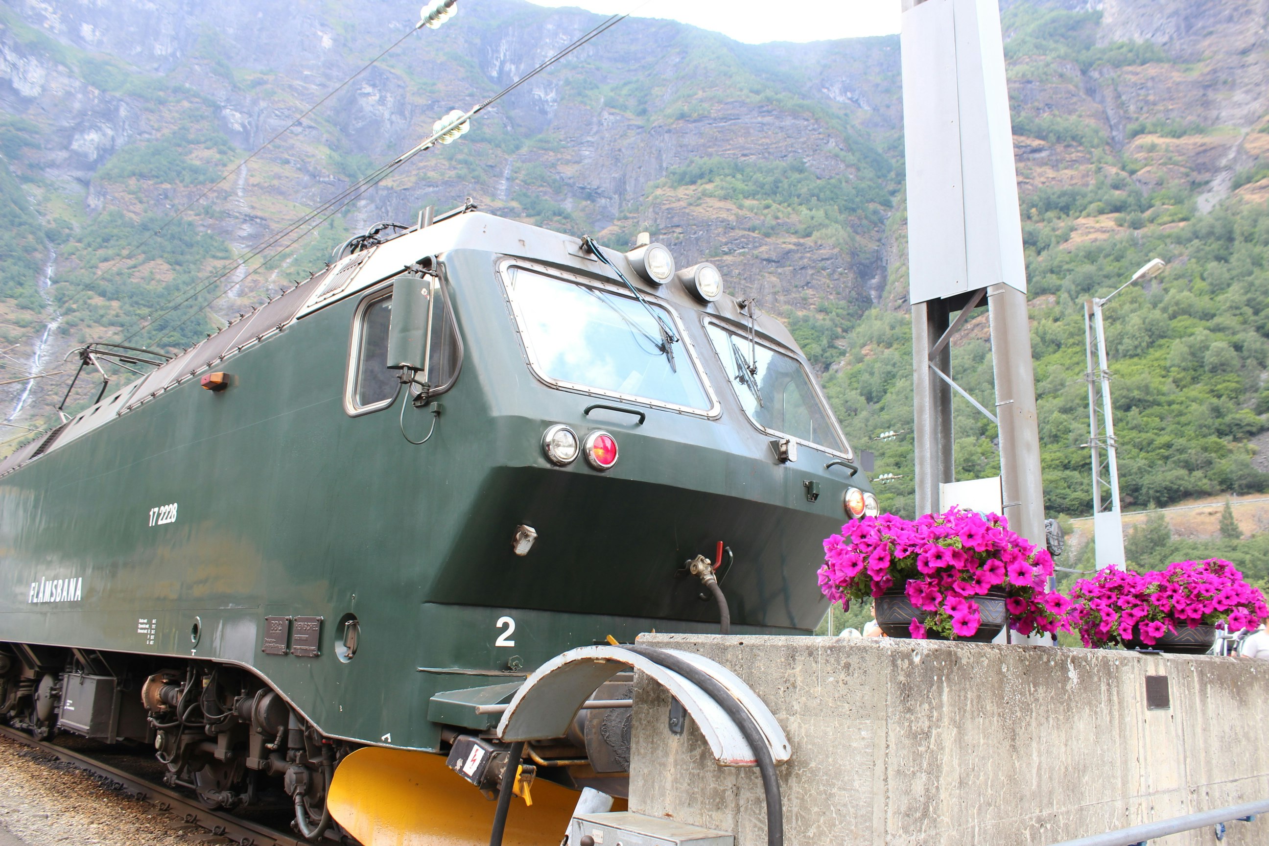 山あいの駅前に停車する緑の列車と花