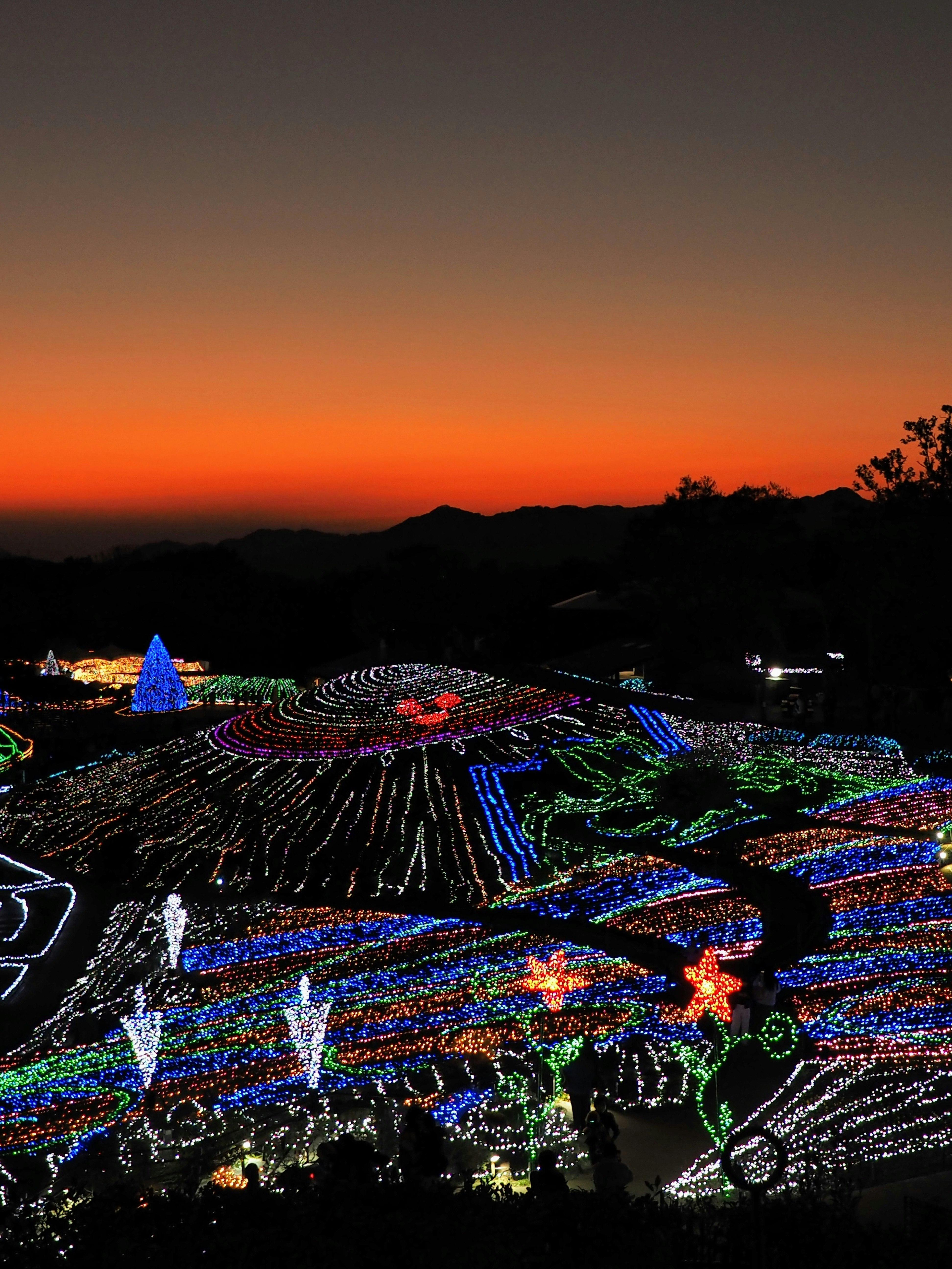 night view of a hill covered in colorful light displays