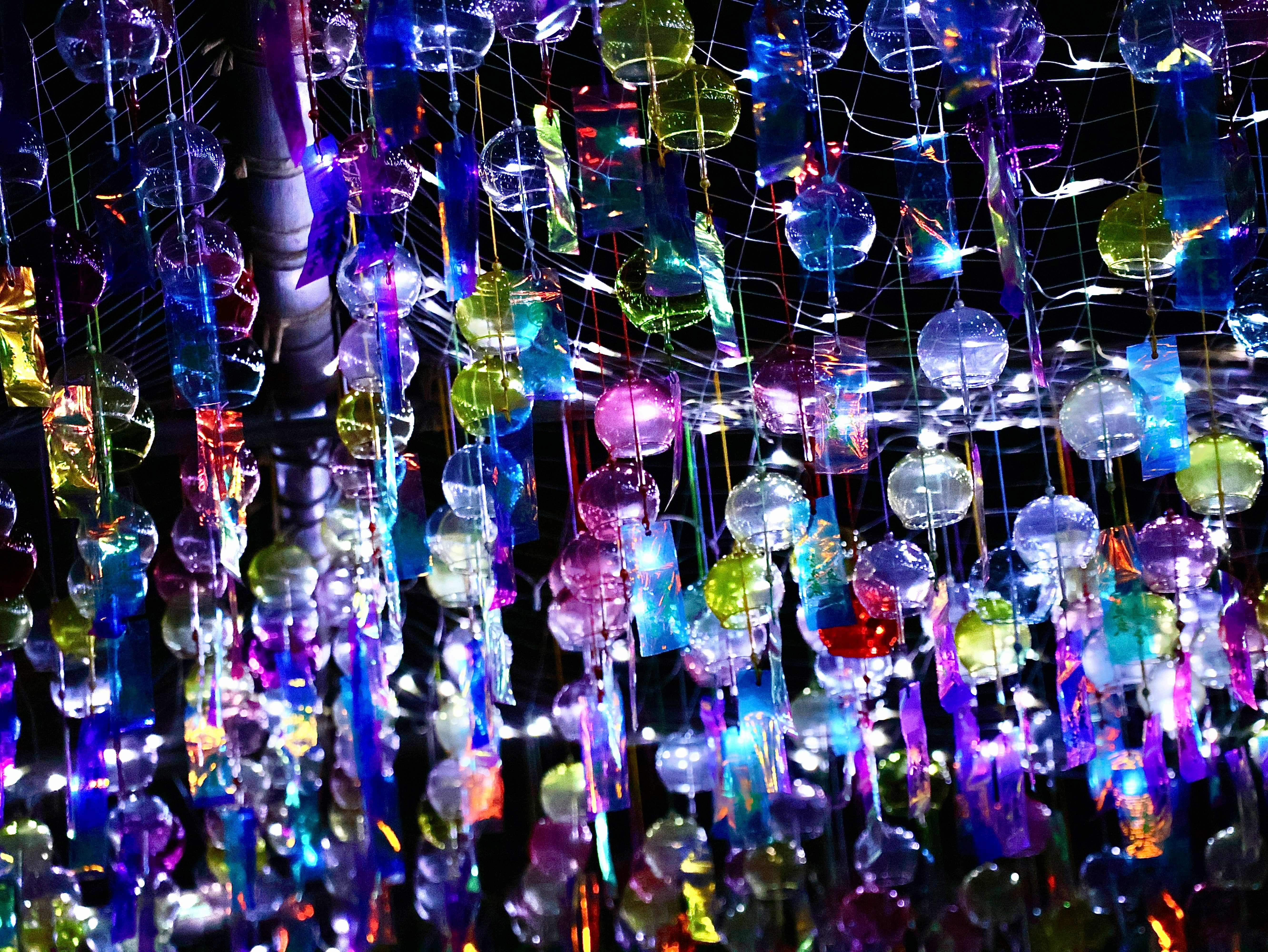 夜の風鈴回廊を彩るライトアップされた風鈴の数々