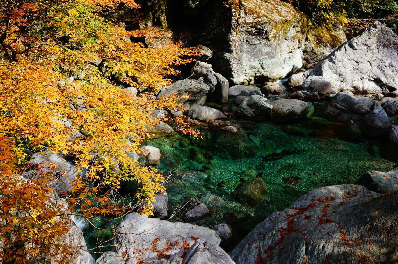 Stagno d'acqua chiara circondato da foglie autunnali e rocce