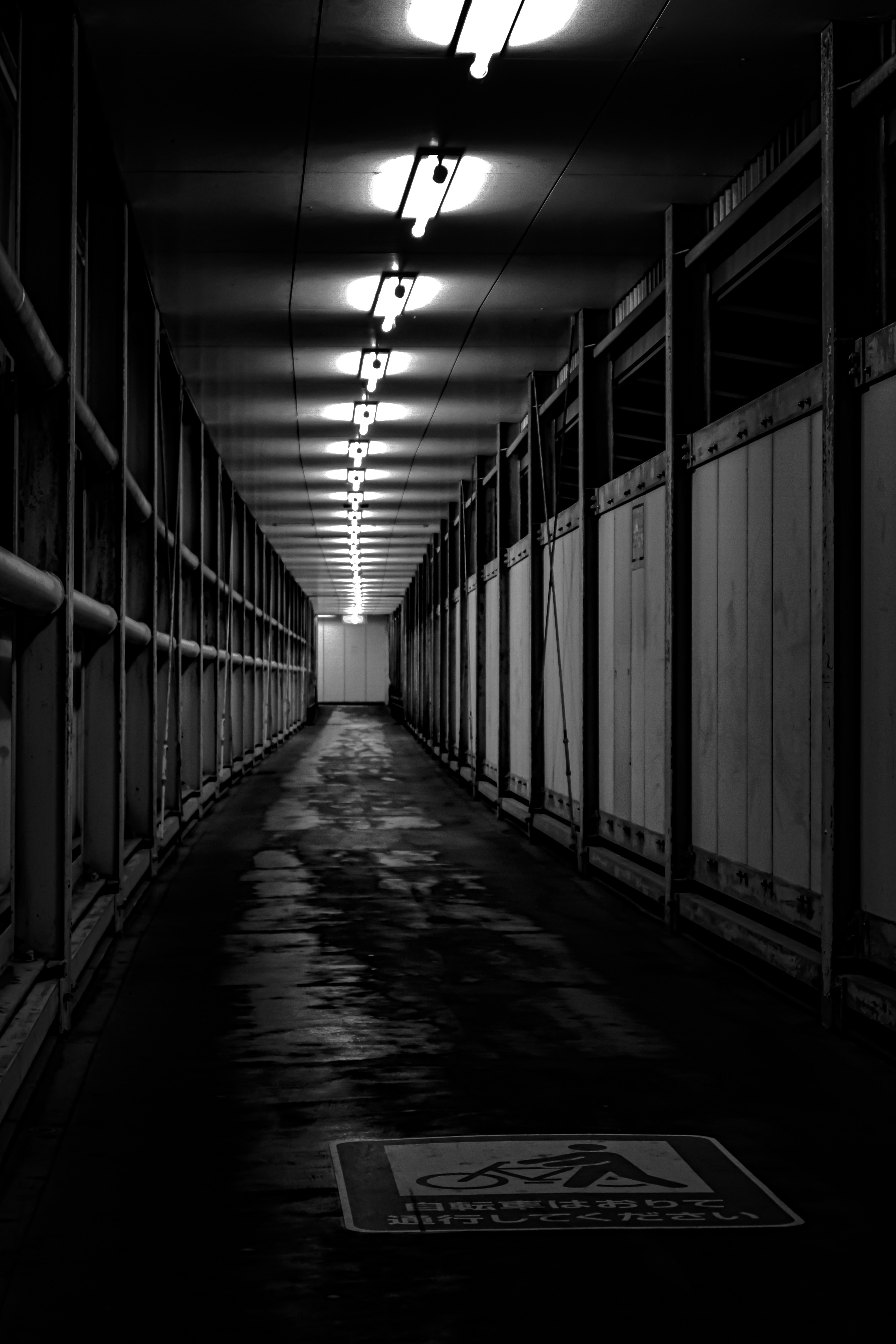 photo-cyNfMe5tGVSOgIHEboWu-image