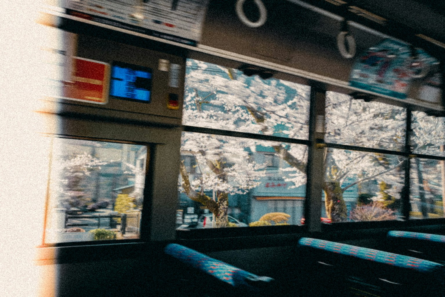 photo-cyh8PEnc4H5NYg9D5G8j-image