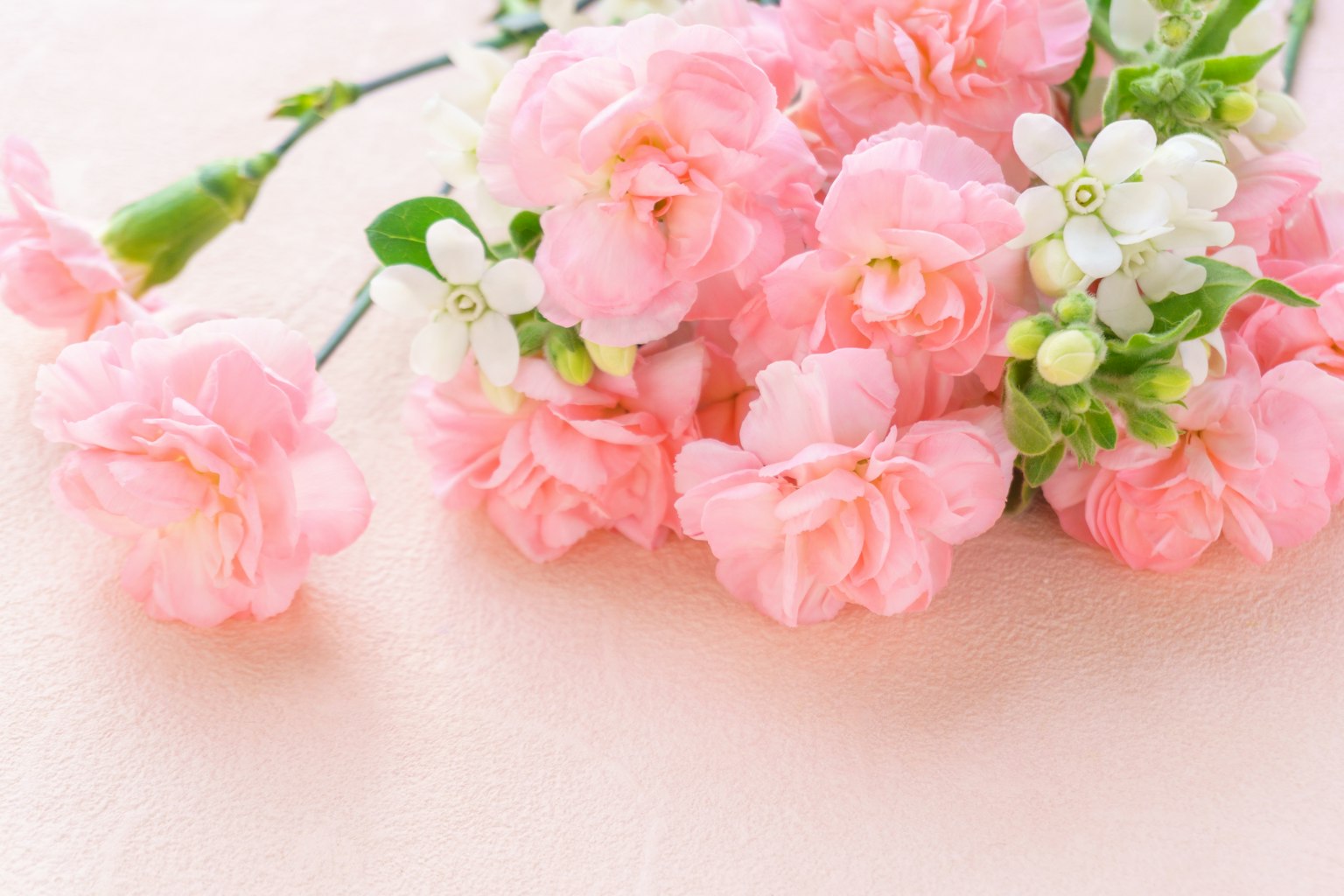 Bouquet of soft pink flowers and white blossoms