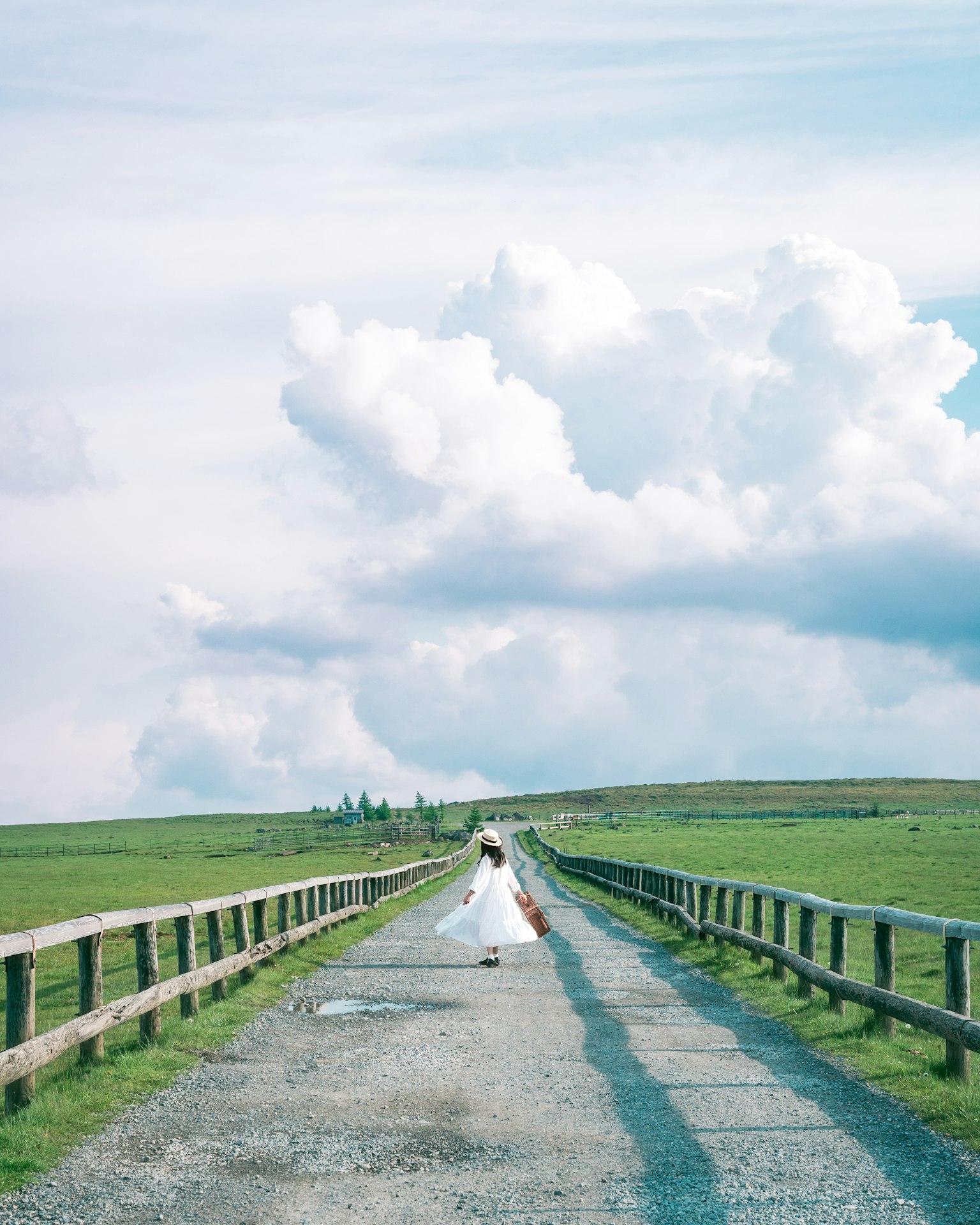 Novia con vestido de boda blanco caminando por un camino de grava rodeado de campos verdes