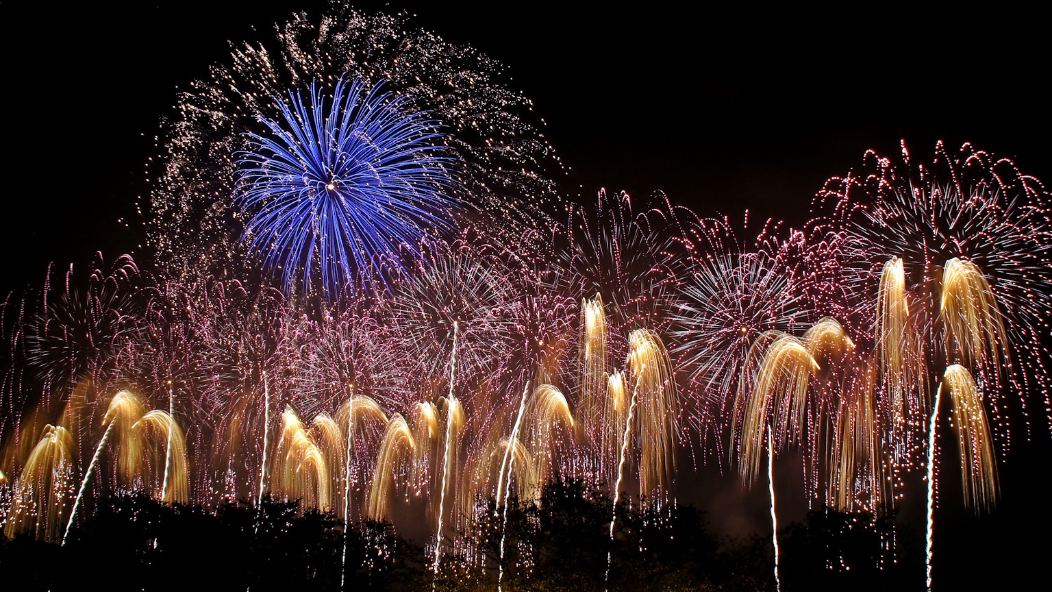 Colorful fireworks display in the night sky