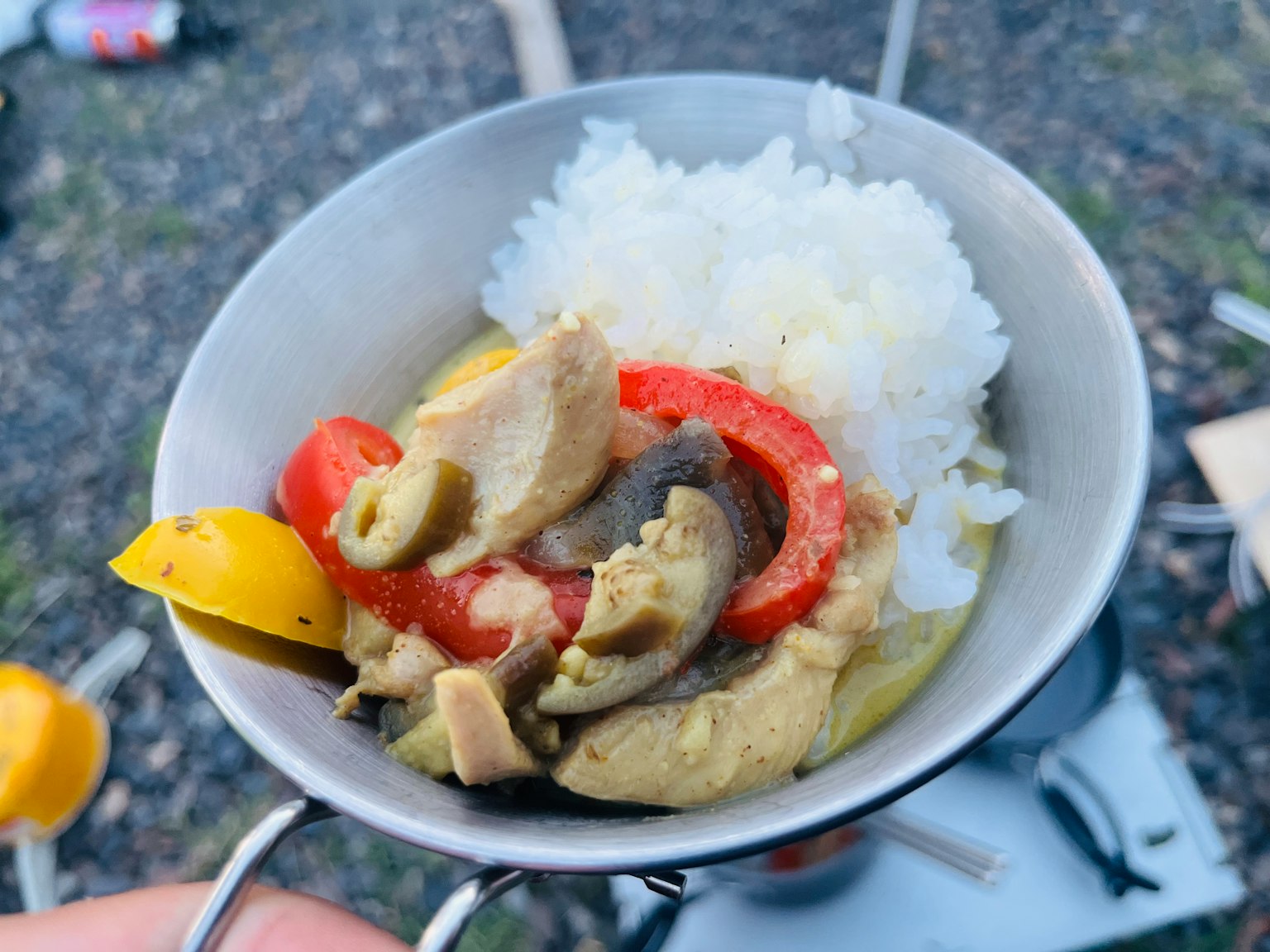 露營盤子上有白飯和咖哩味的蔬菜和雞肉