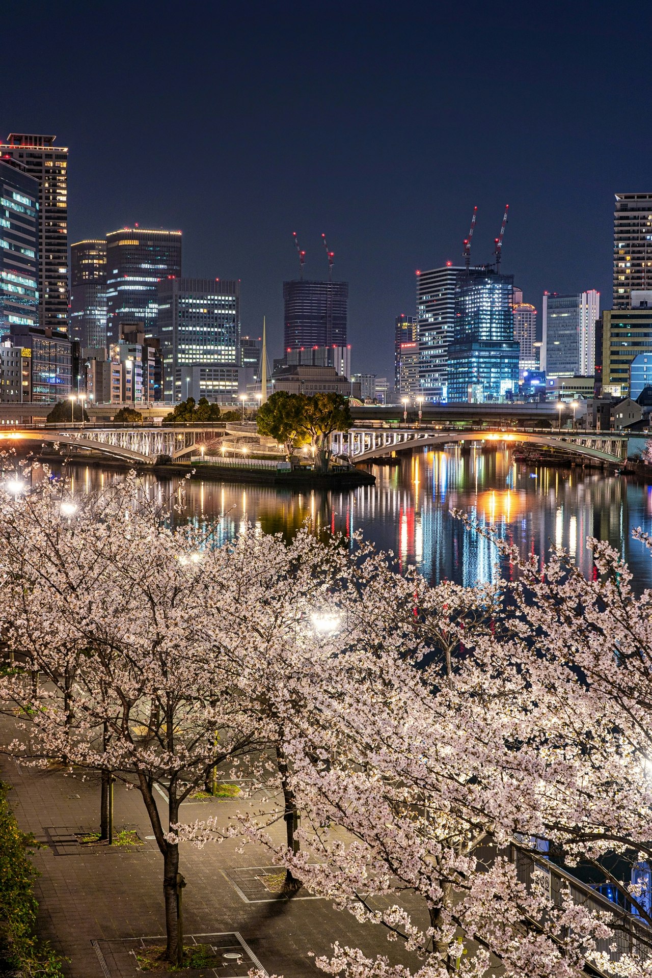 高層ビル群の写真 | ロイヤリティフリー & 高解像度画像を無料