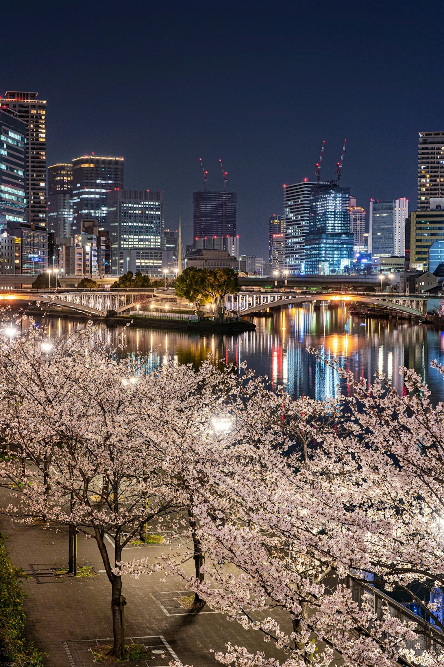 Vue nocturne magnifique des cerisiers en fleurs et de la skyline urbaine