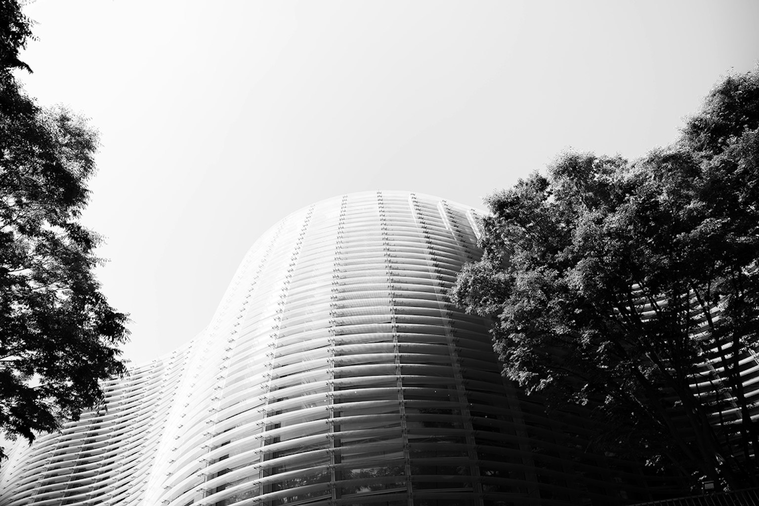 Esterno di un edificio moderno con alberi verdi a contrasto