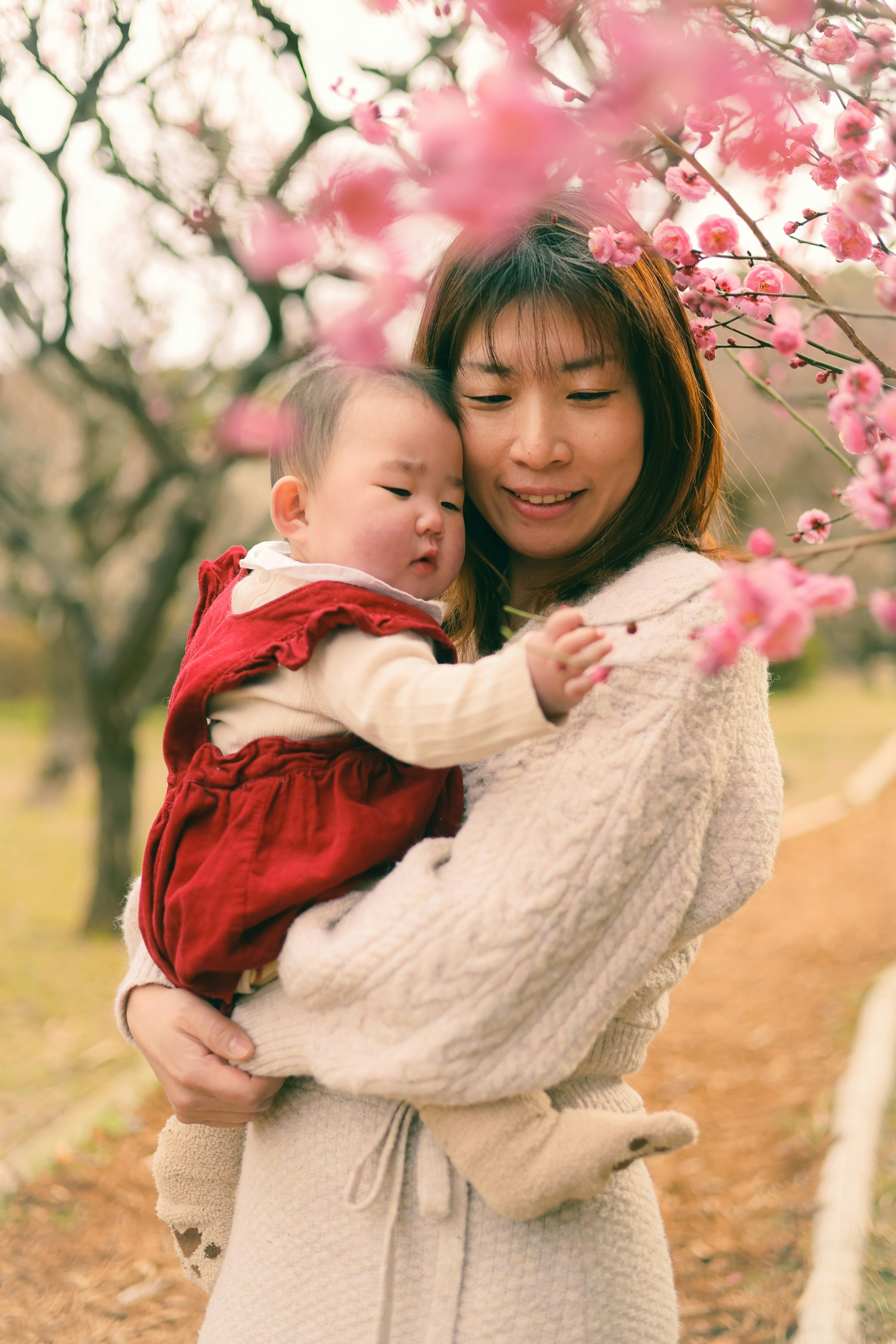 桜の花の下で赤ちゃんを抱く親子の笑顔