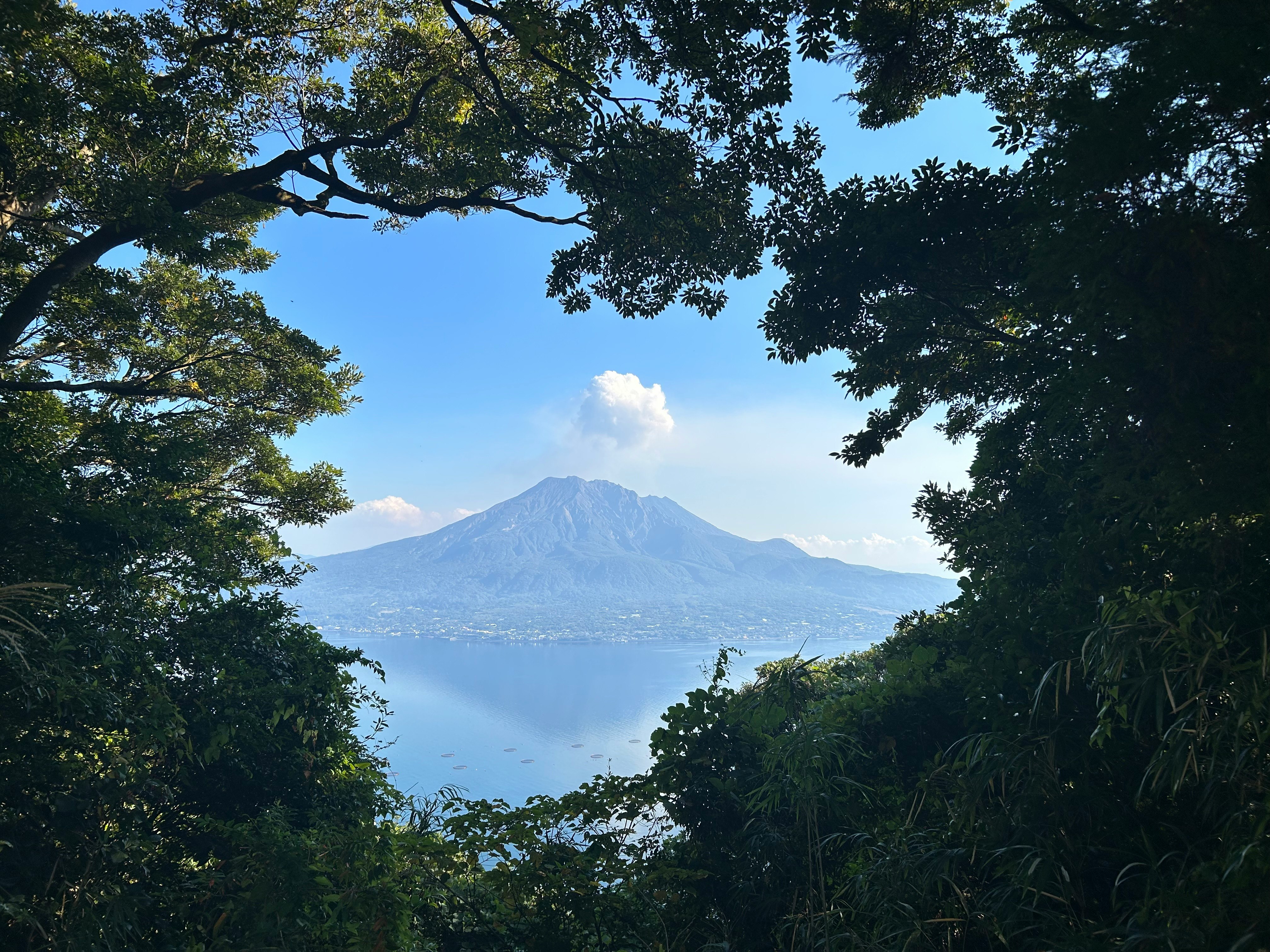 桜島を望む緑の木々越しの海と火山の景色