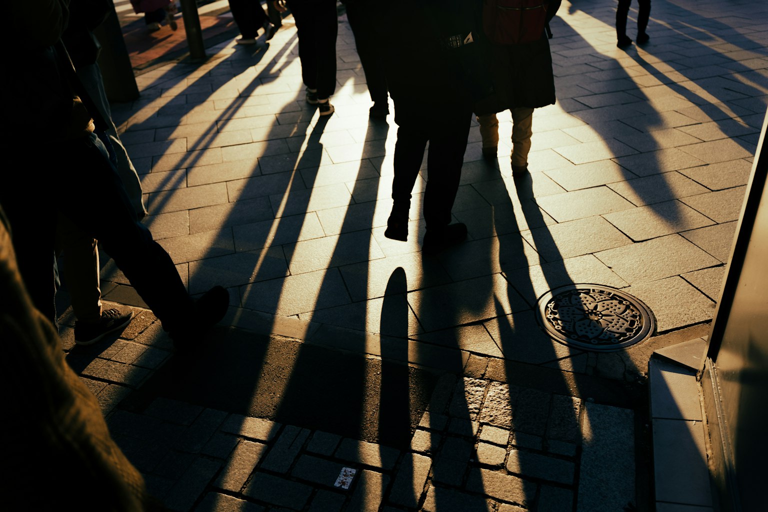 Silhouettes de personnes projetant de longues ombres sur le pavé