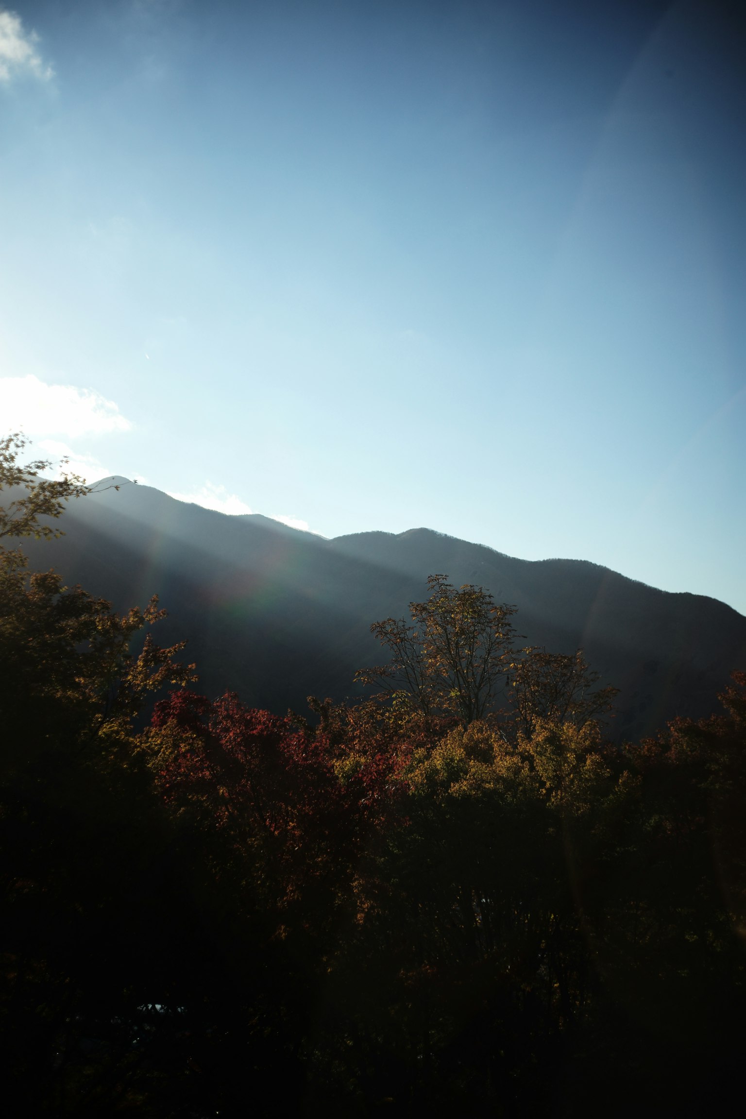 Khung cảnh đẹp với bầu trời xanh và núi cùng những cây đầy màu sắc