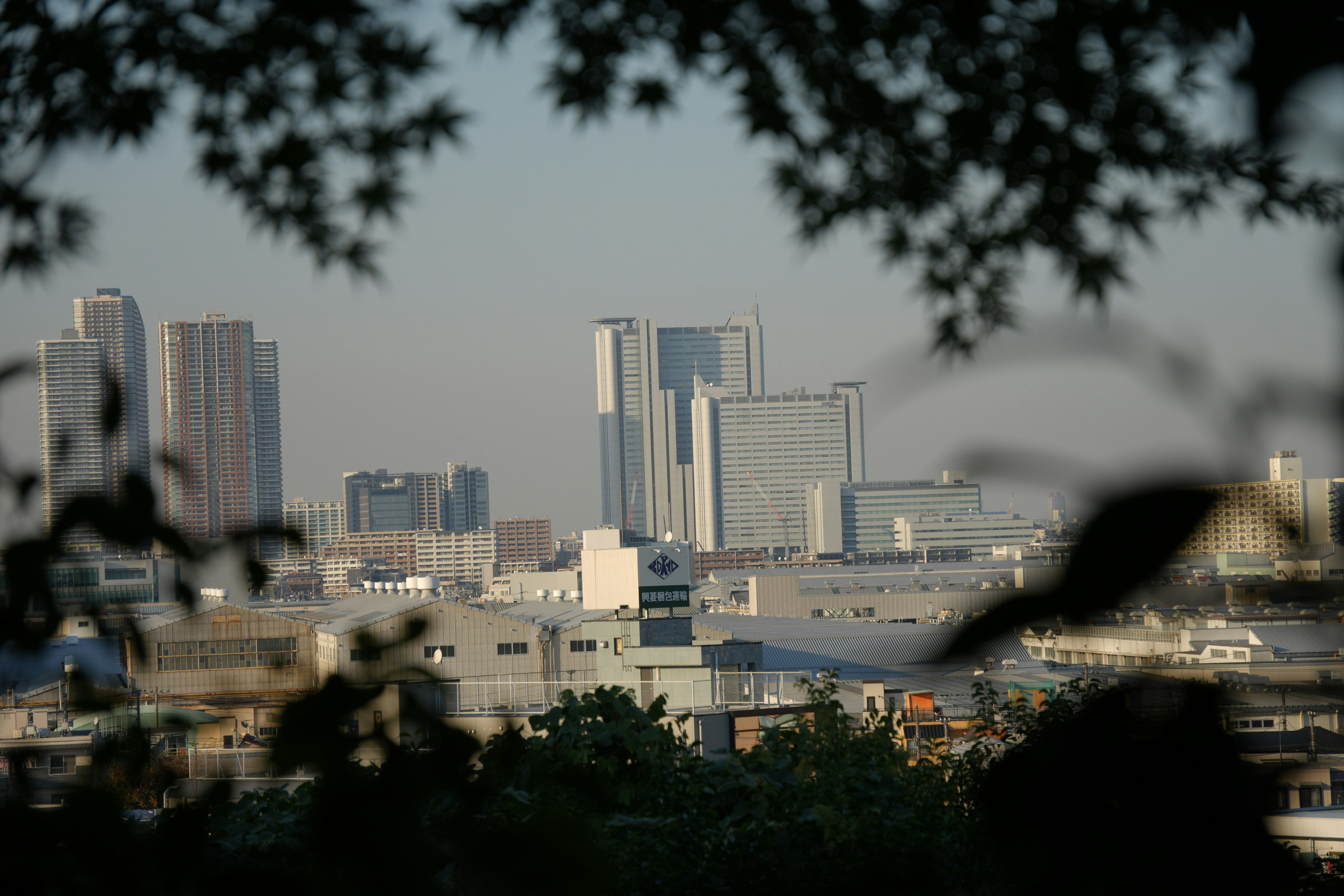 skyline urbano con grattacieli visto tra gli alberi