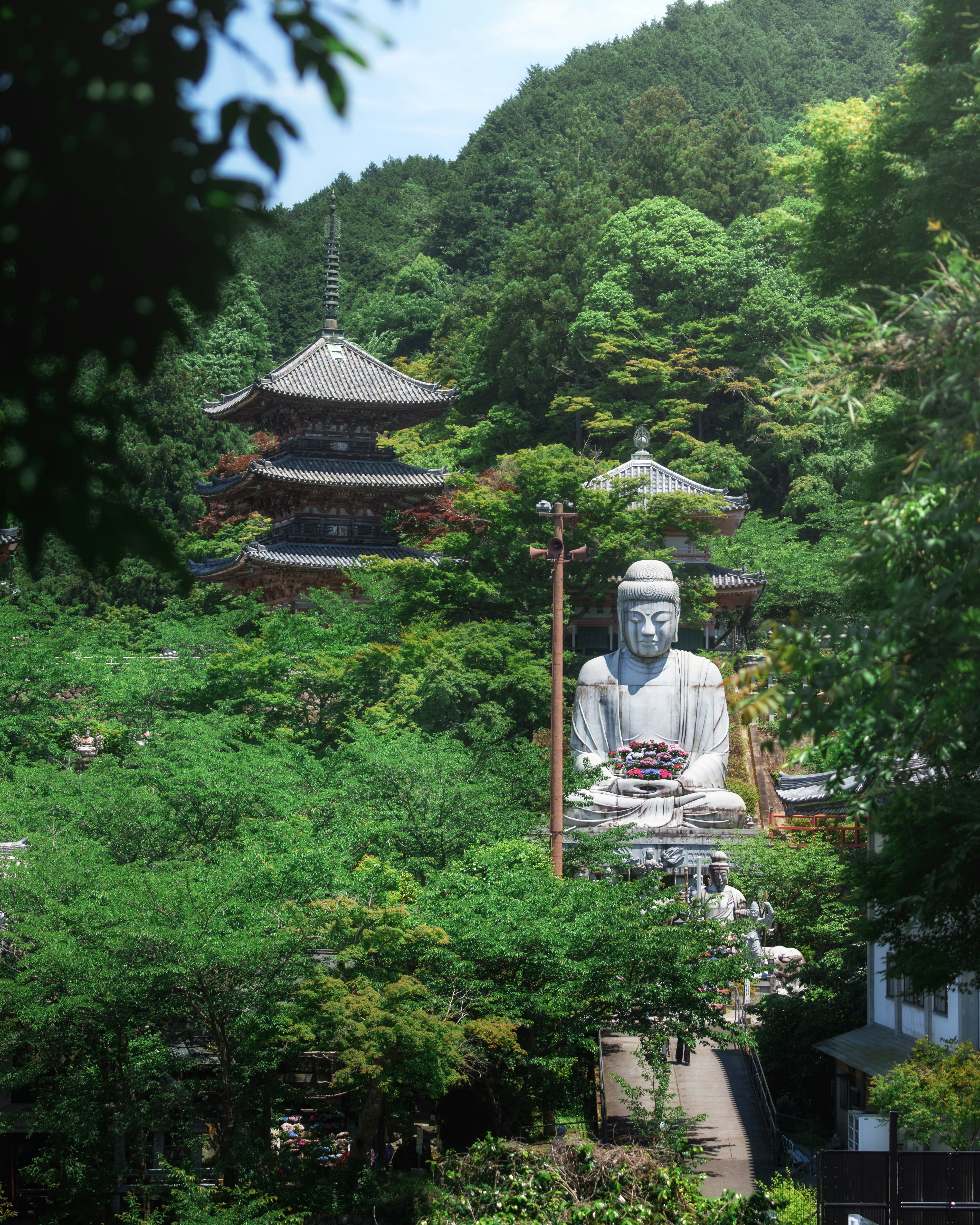 緑の山あいに佇む寺院の多層塔と大仏像