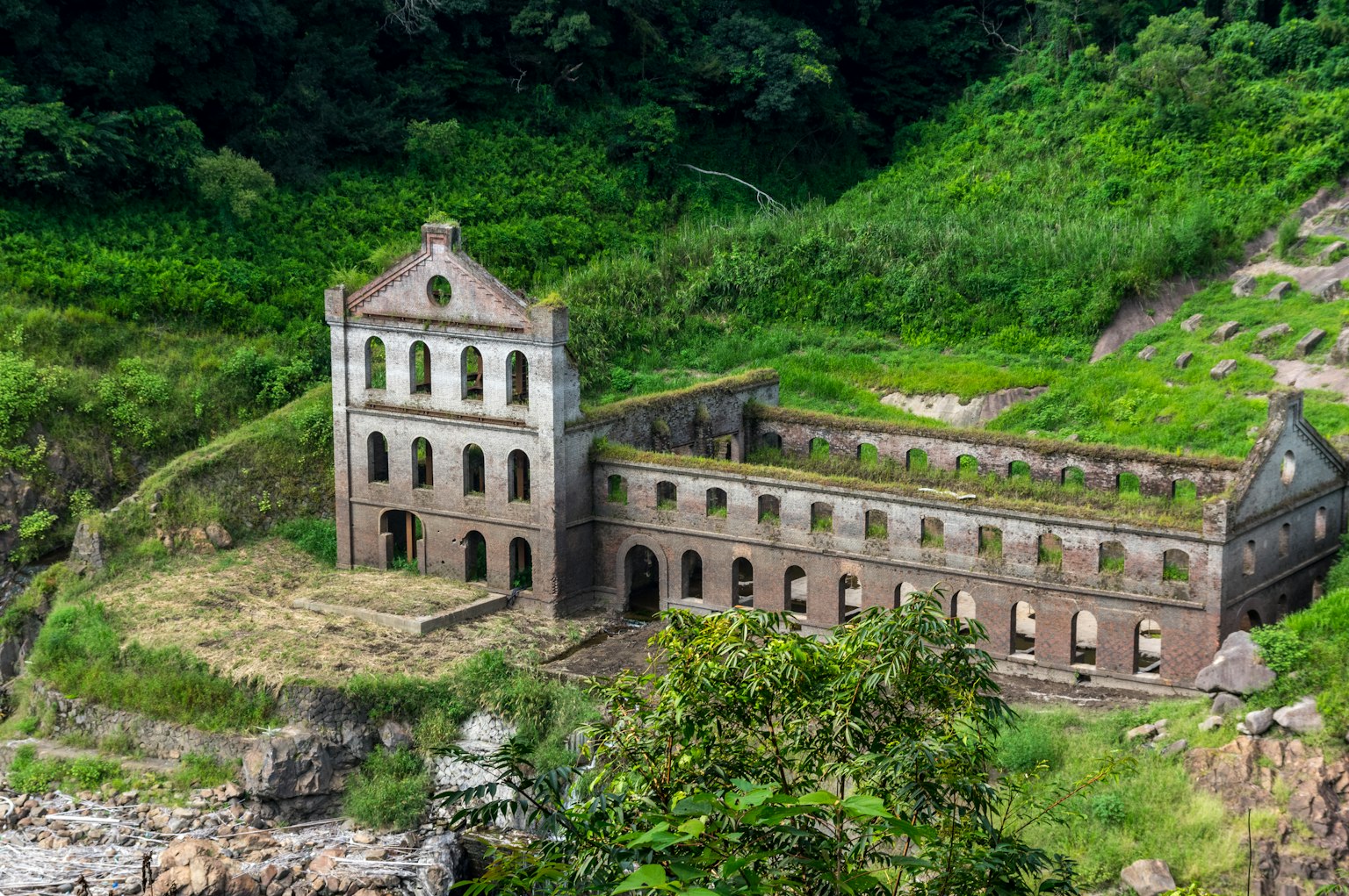 Abandoned building surrounded by lush greenery and nature