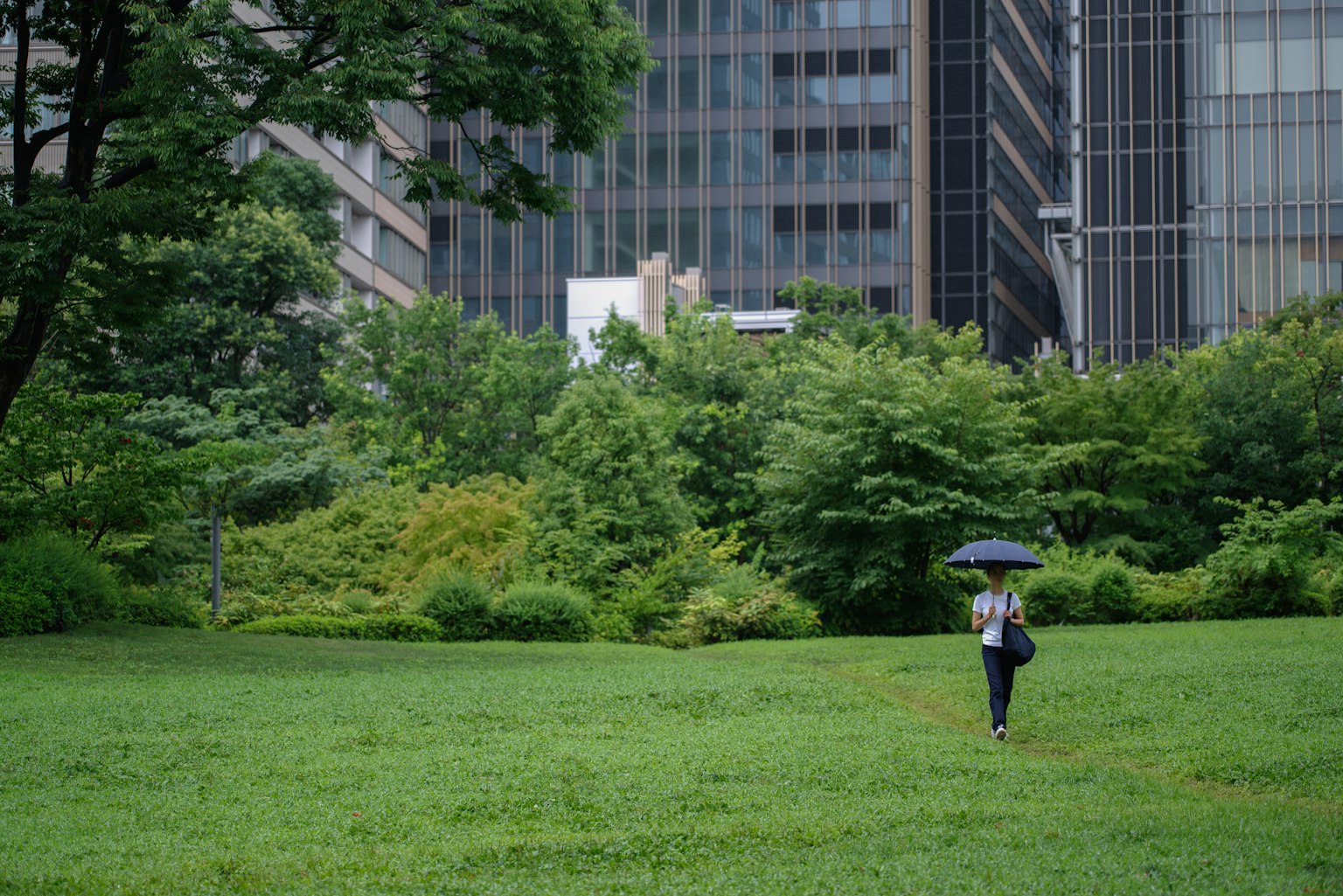 Person walking with an umbrella on green grass with skyscrapers in the background
