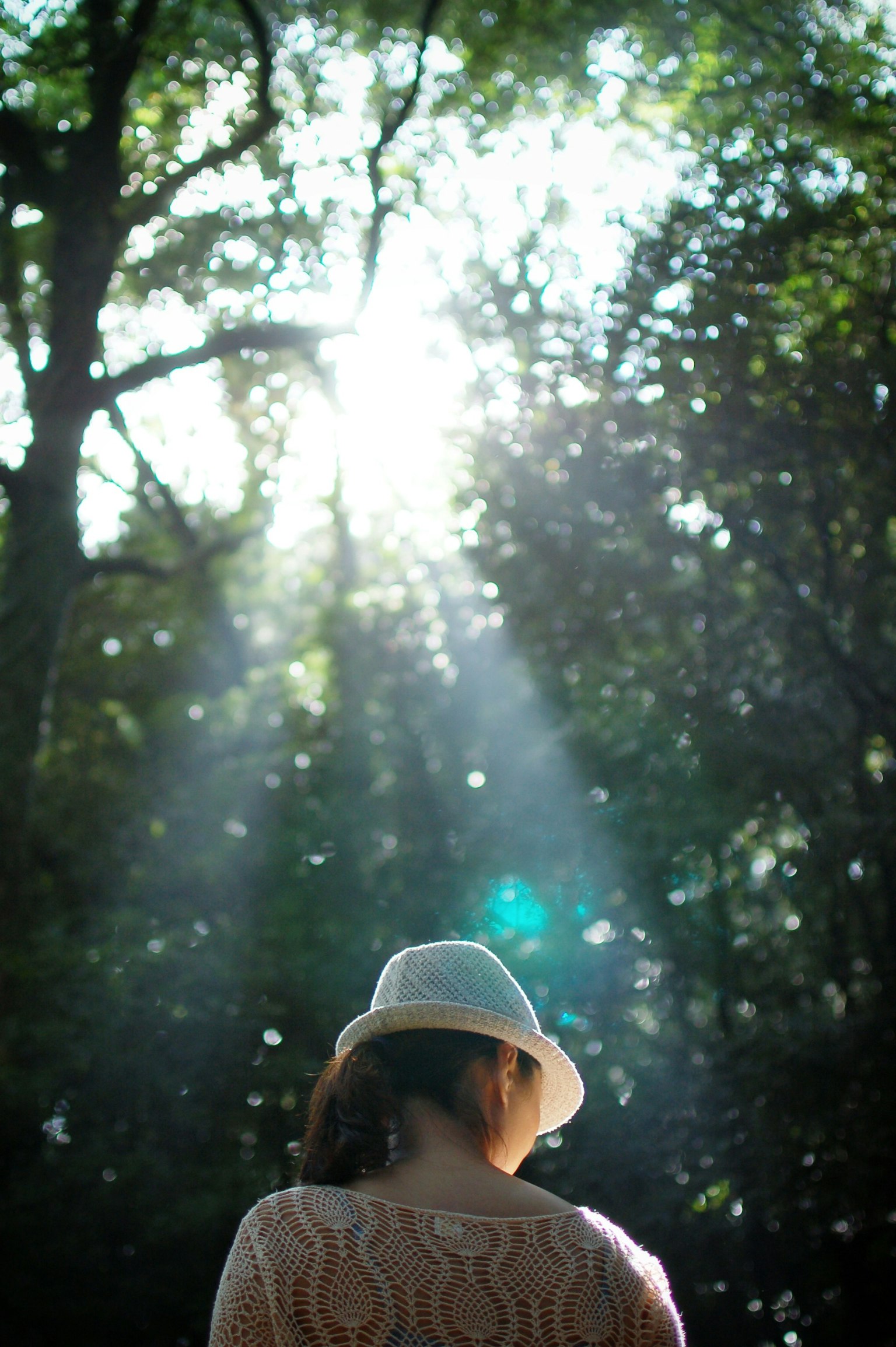 Eine Frau mit einem weißen Hut, die von hinten in einem Wald gesehen wird, mit Sonnenlicht, das durch die Bäume strömt