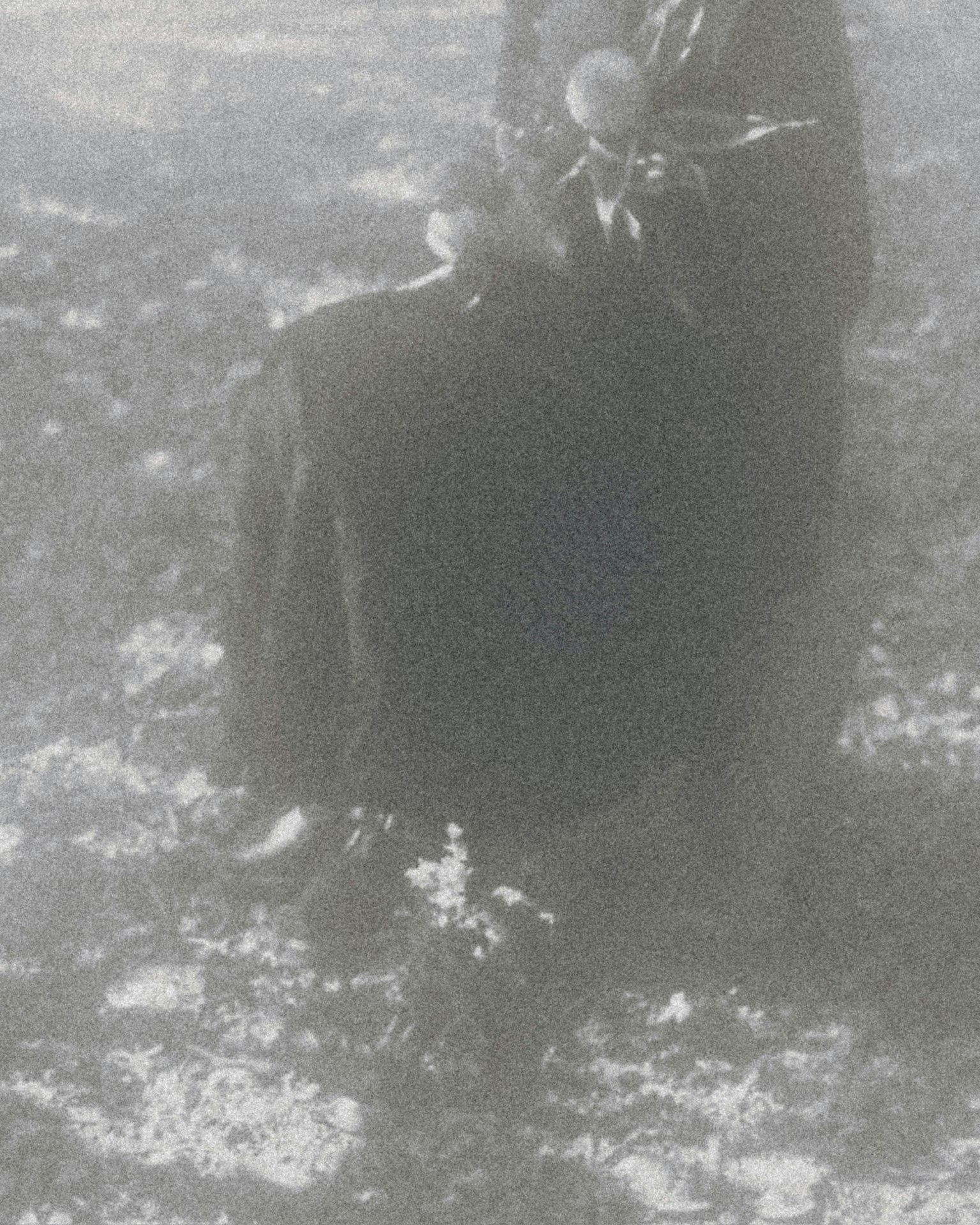 photo-d3gaAjXDvjCTBLw2gZce-image