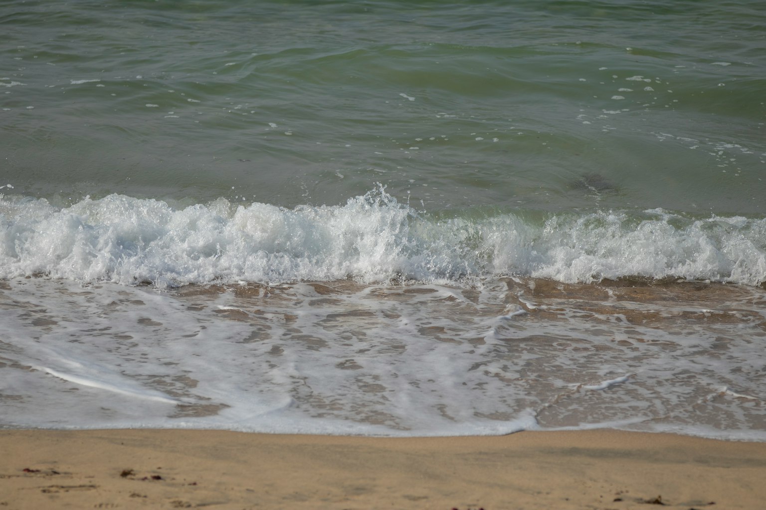Olas rompiendo en una playa de arena