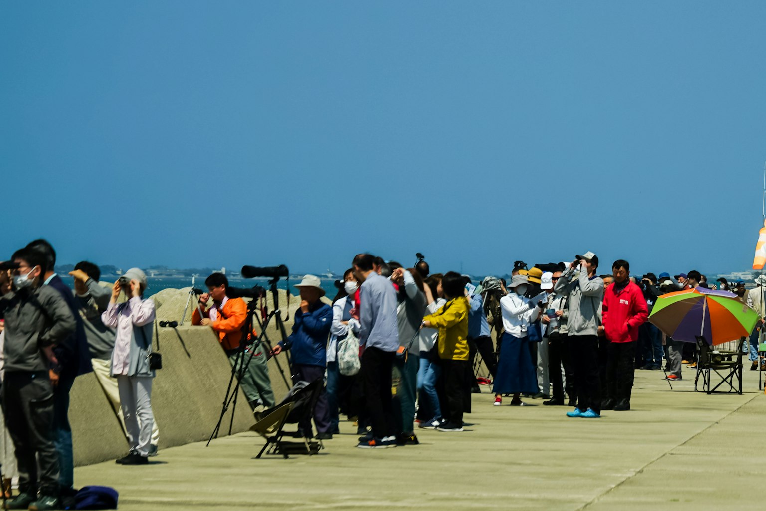 Osservatori in fila sotto un cielo blu che usano telescopi