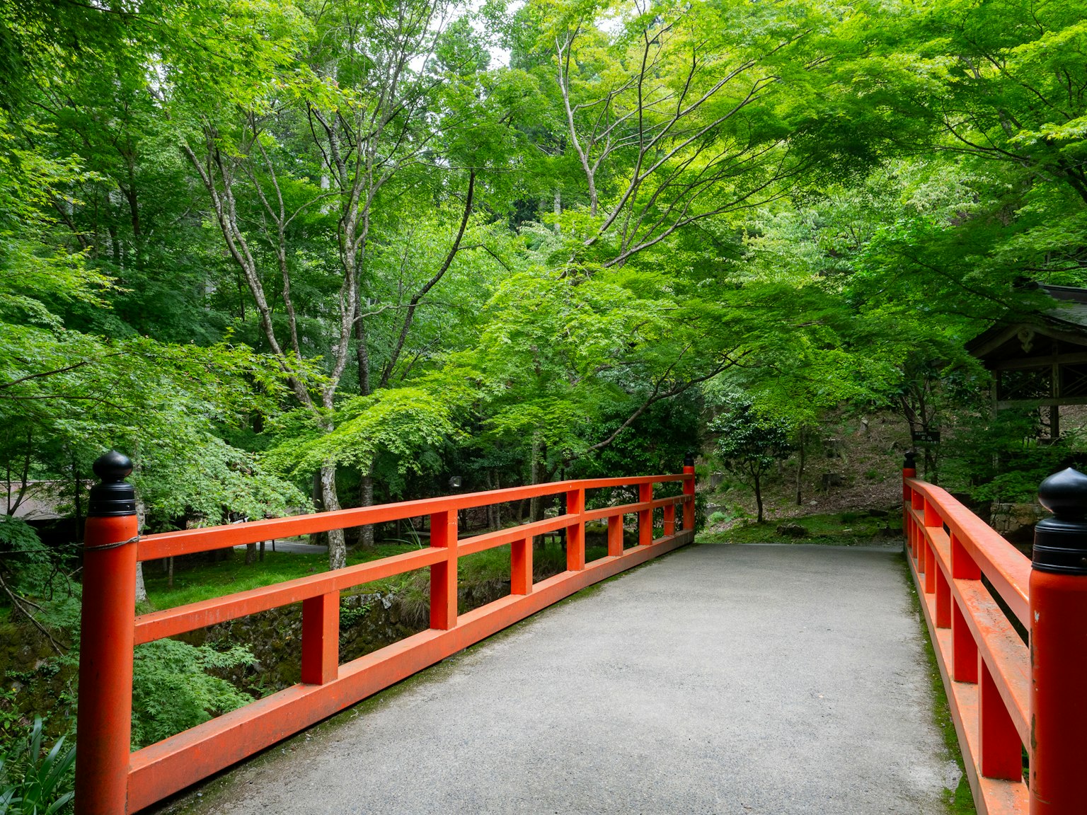 ทิวทัศน์ที่สวยงามซึ่งมีสะพานสีแดงในสภาพแวดล้อมสีเขียว