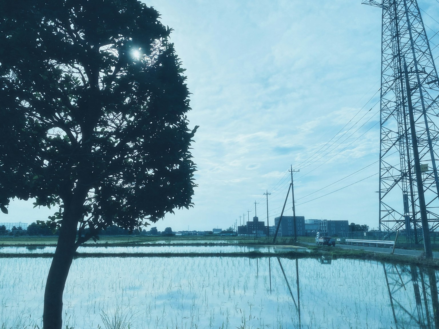 Eine ruhige Landschaft mit einem Baum und Stromleitungen, die in einem Reisfeld unter einem blauen Himmel reflektiert werden
