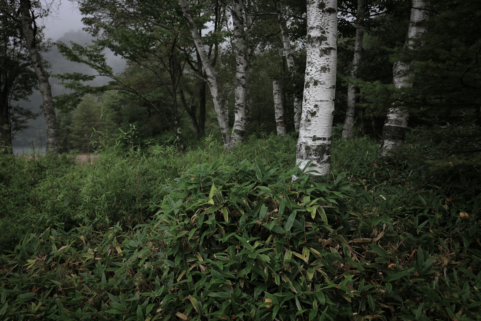 photo-d4INRIRmacjrEc7s3zd9-image