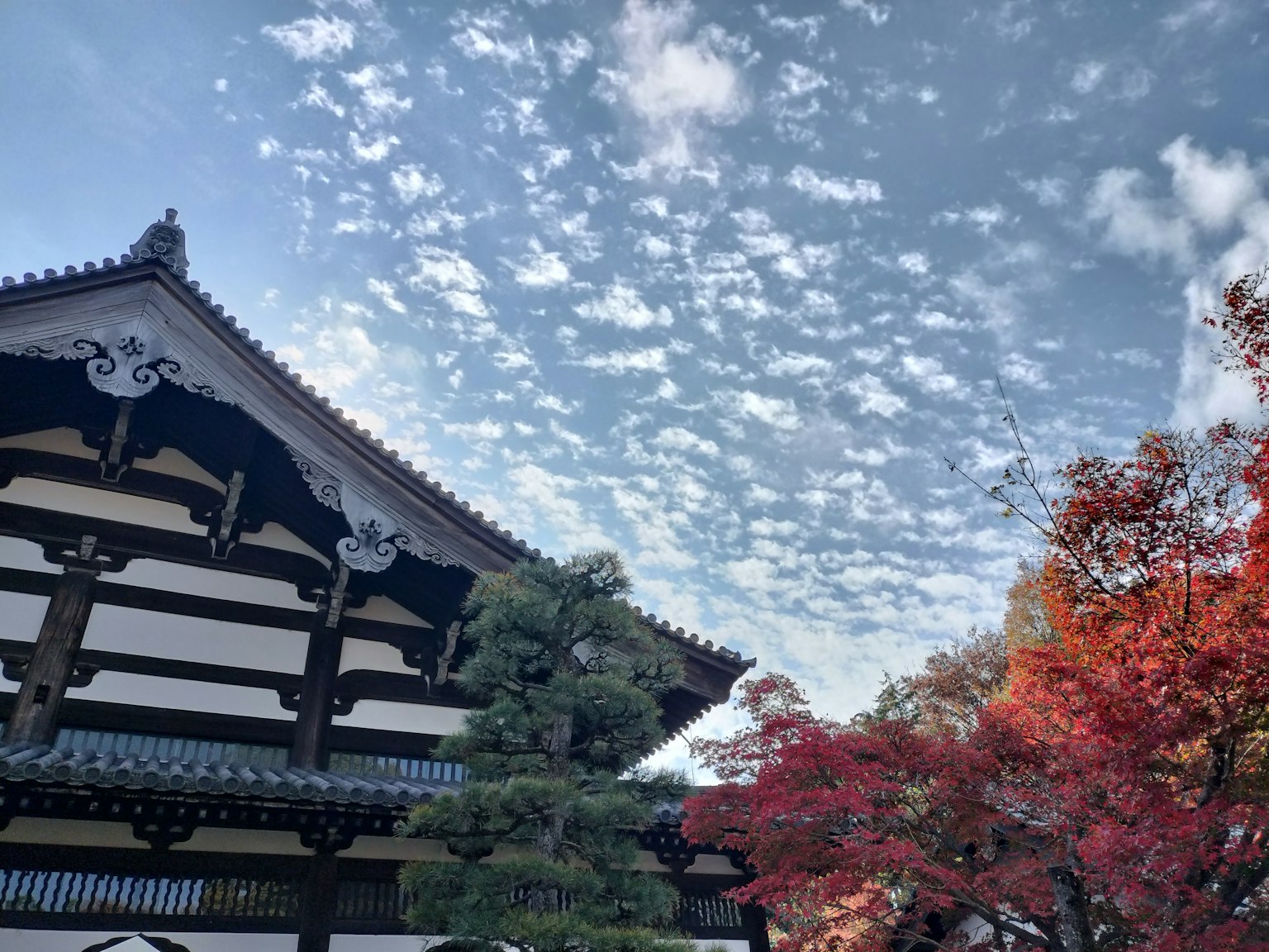 Bangunan tradisional Jepang dengan langit biru dan awan di latar belakang dikelilingi oleh daun musim gugur
