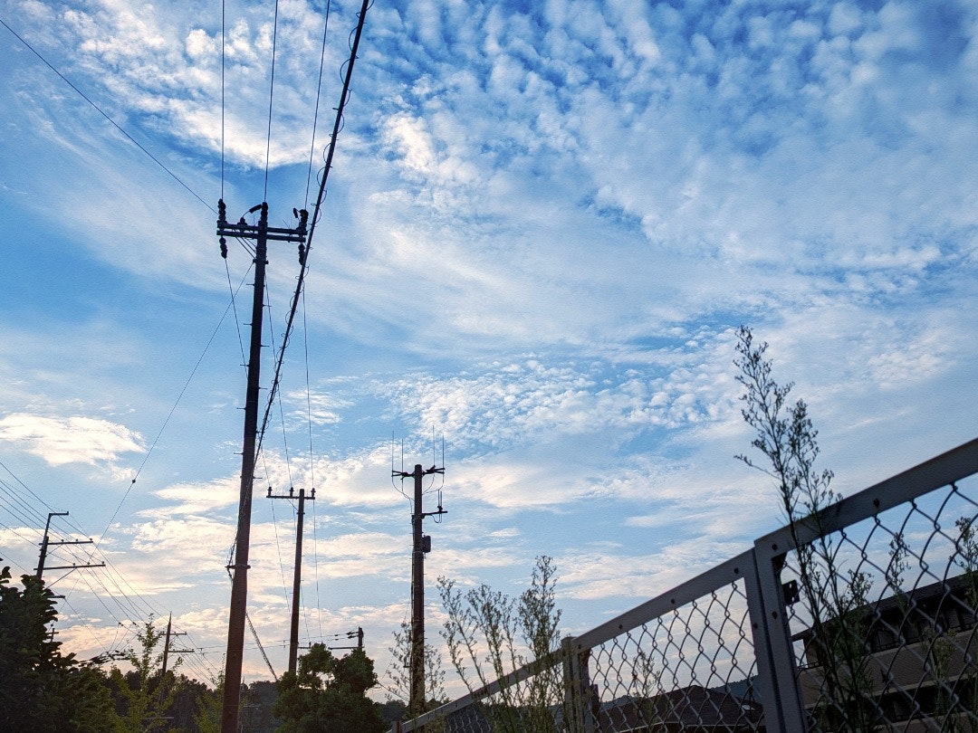フェンス越しの空に広がるうろこ雲の夕暮れ風景