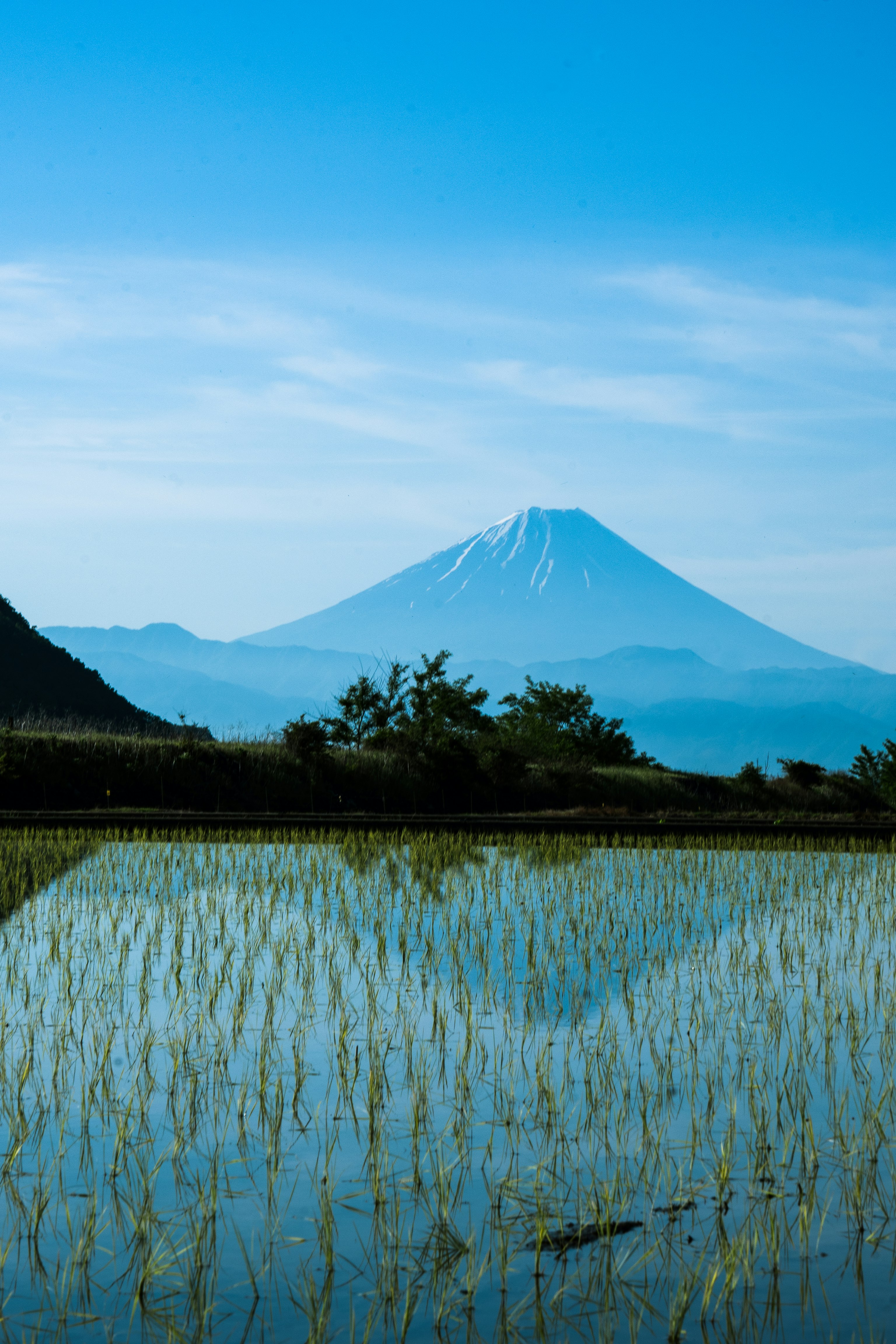 田んぼと遠くにそびえる山のある風景