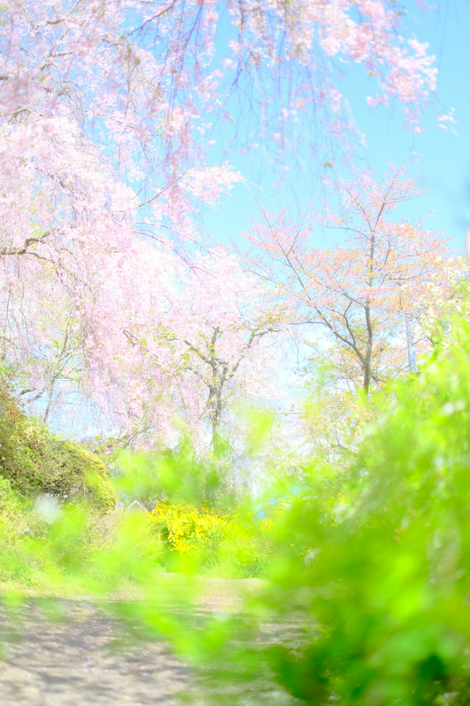 photo-d5LNJq3Dnu5OpM2C65wD-image