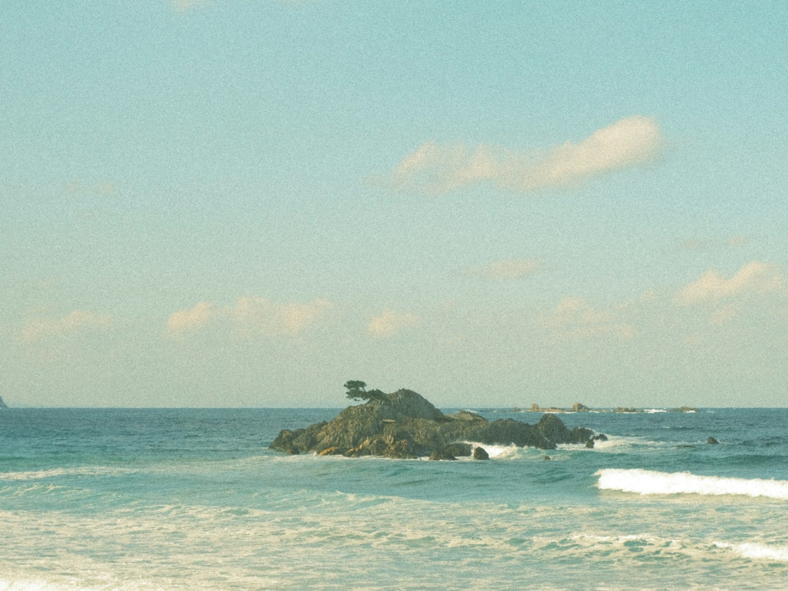 Petite île avec un arbre dans la mer bleue et des vagues blanches