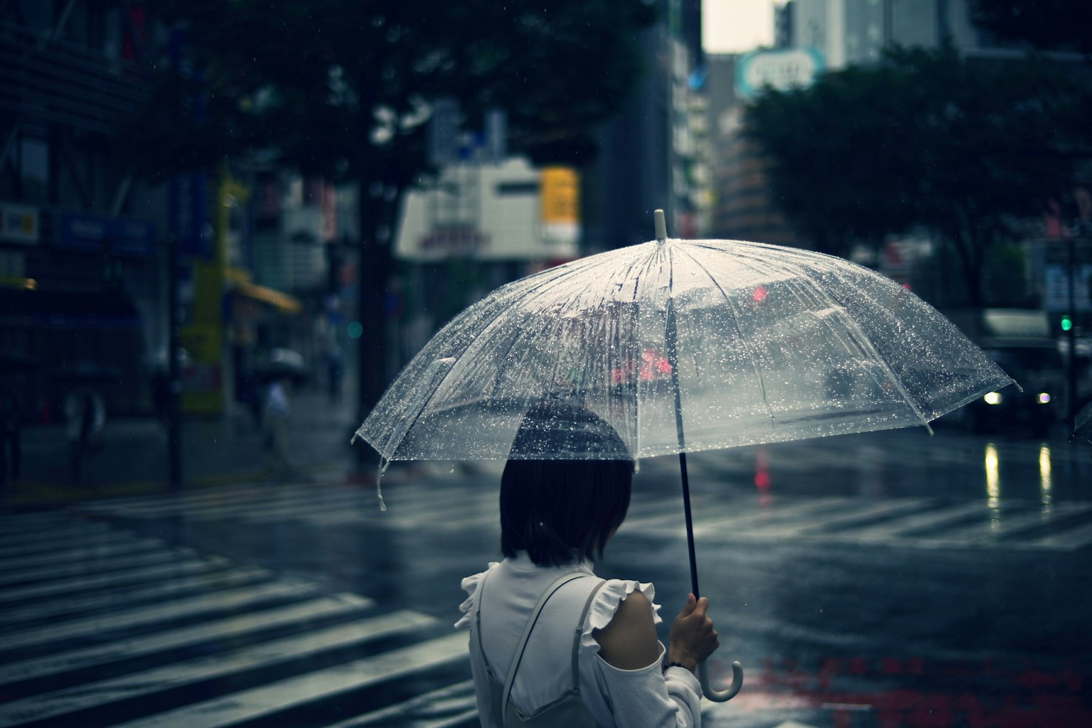 Người phụ nữ cầm ô trong suốt dưới mưa