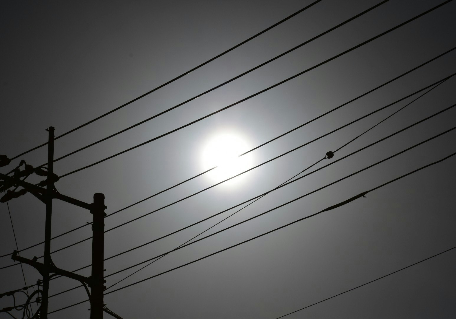 朝日が差し込む電線のシルエット