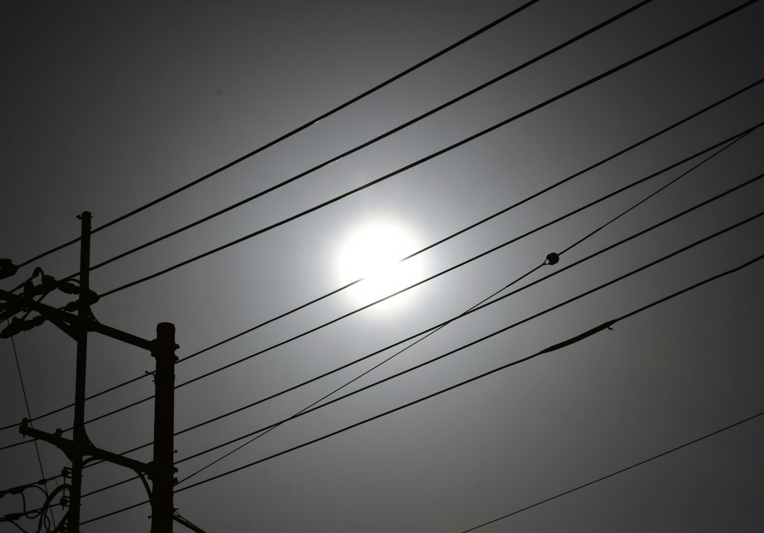 Silhouette di linee elettriche con luce solare