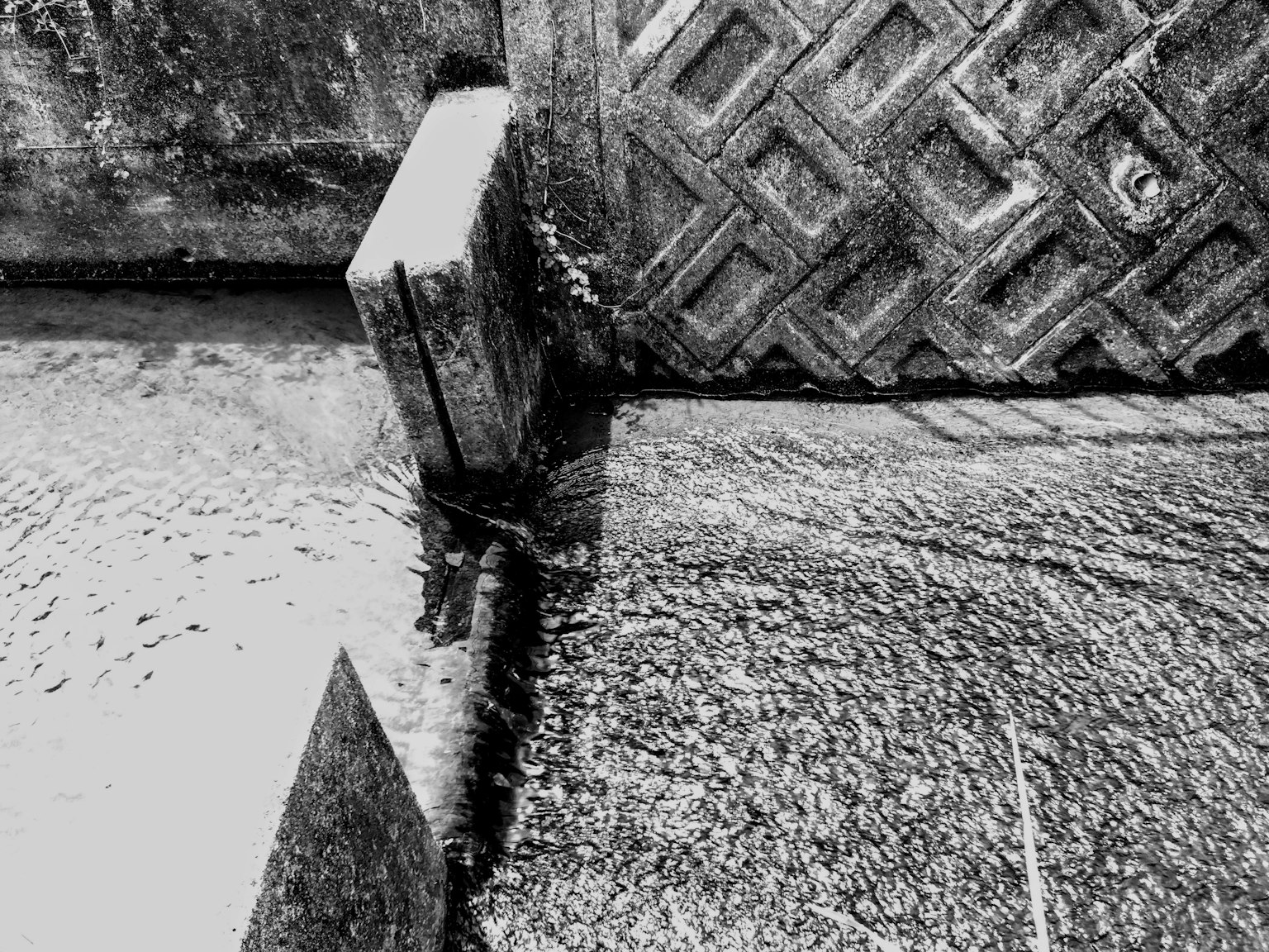 photo-d6ht4i3lBddjUBITyf7k-image