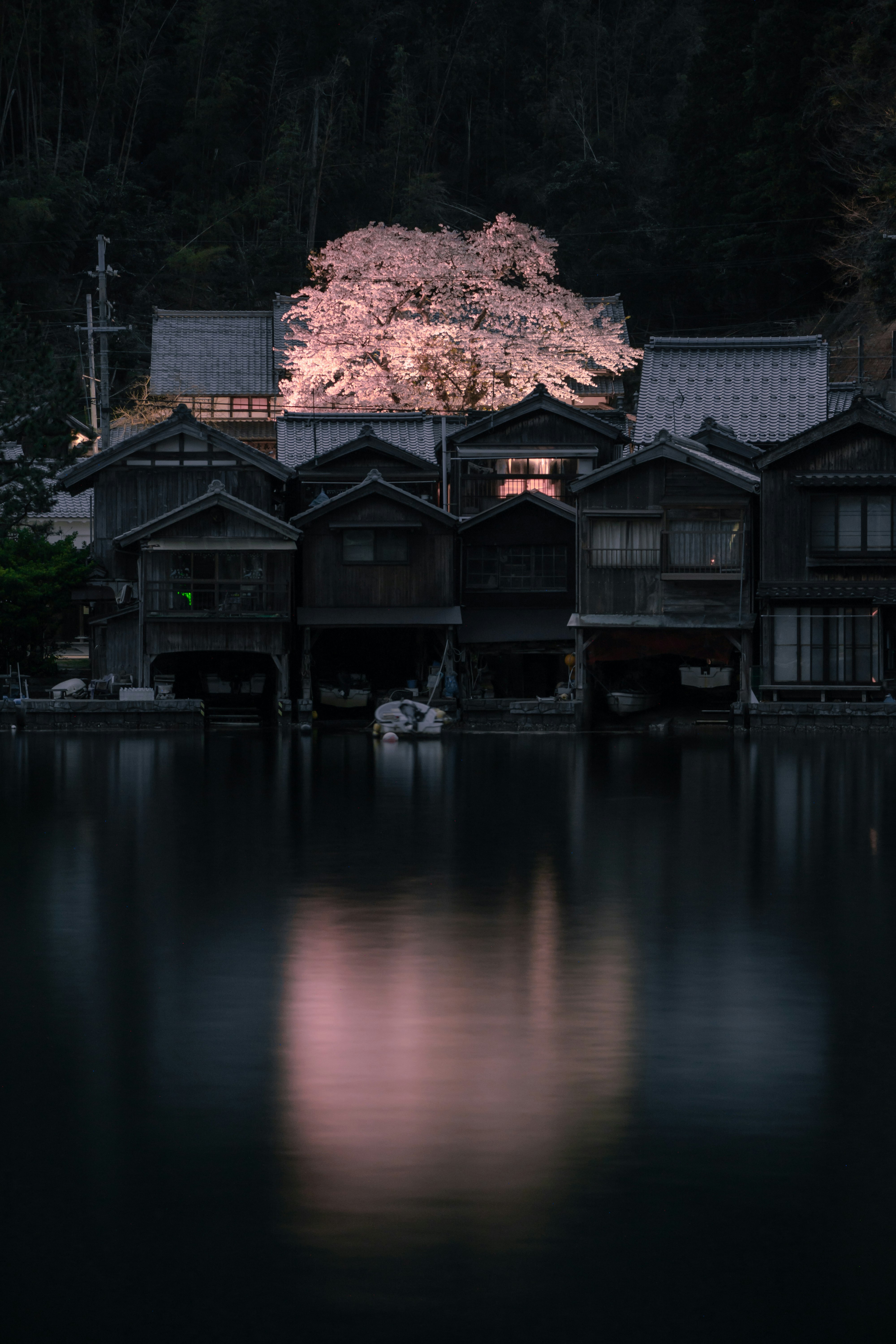 夜晚河岸櫻花倒影與傳統民居的寧靜景象