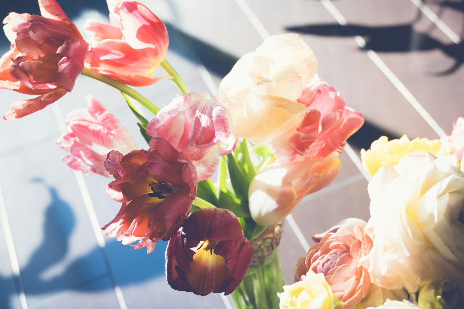 Một bó hoa tulip rực rỡ dưới ánh nắng mặt trời thể hiện nhiều màu sắc