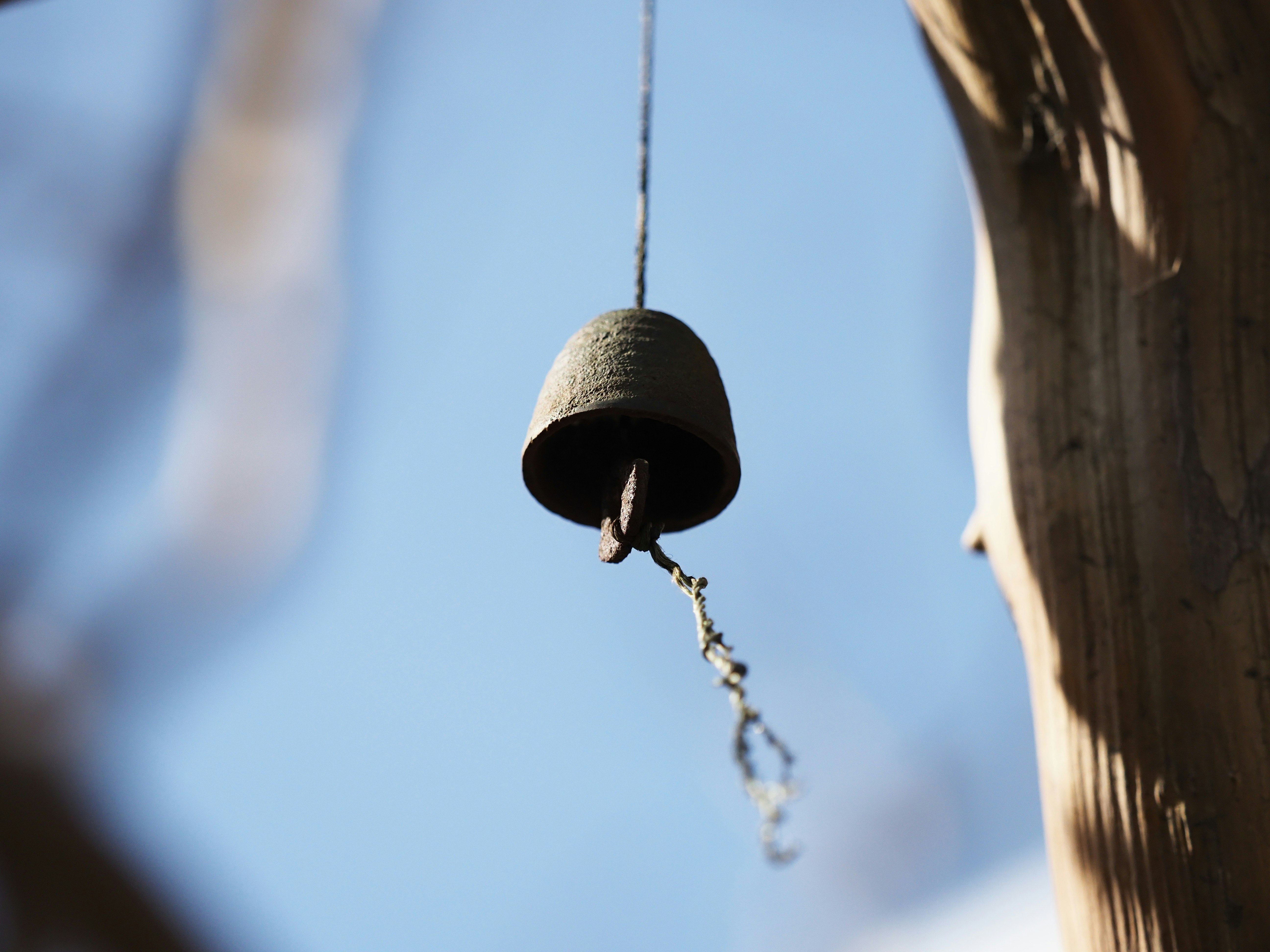 Nambu wind chimes swaying from a crape myrtle tree