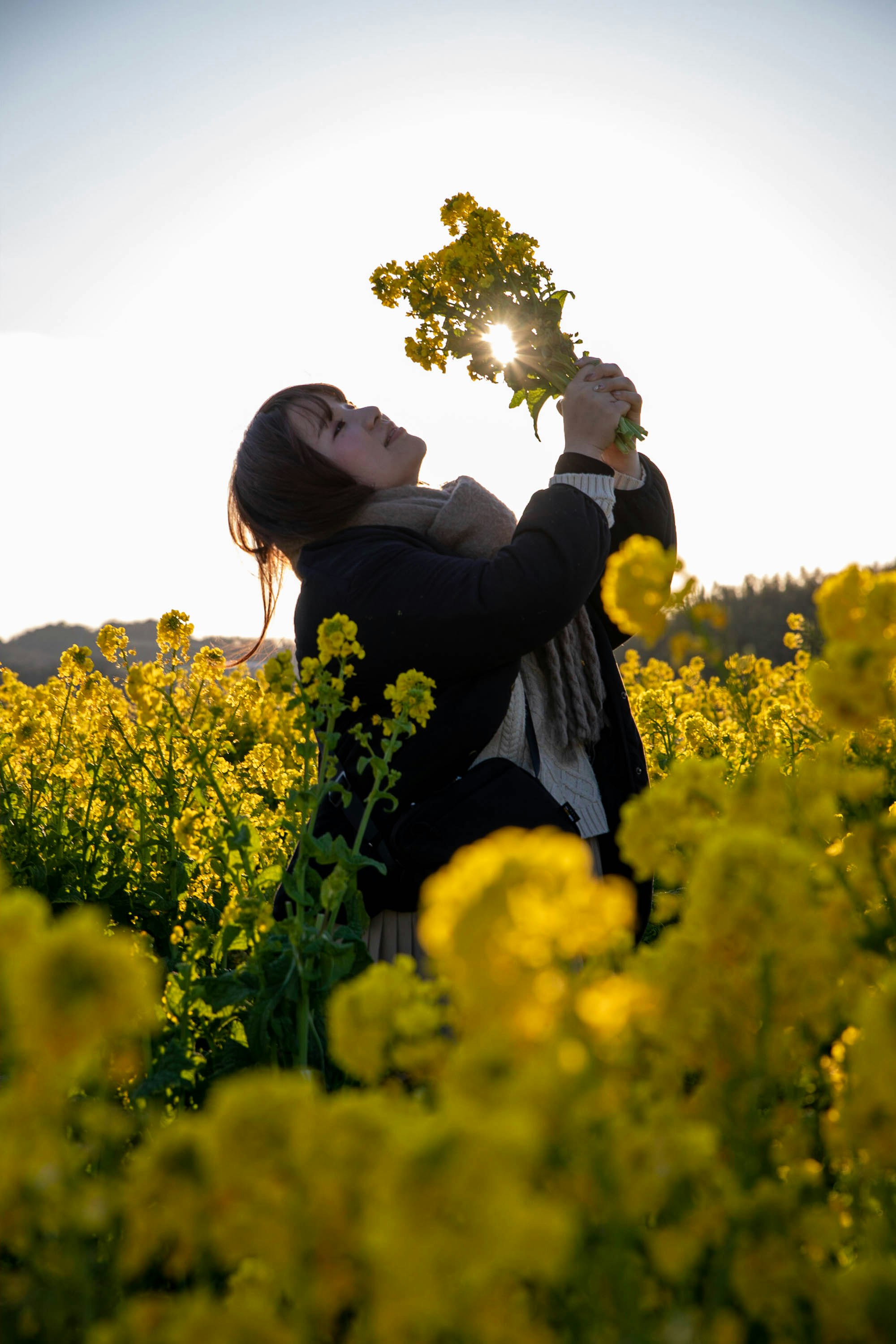 菜の花畑で花を見上げる女性